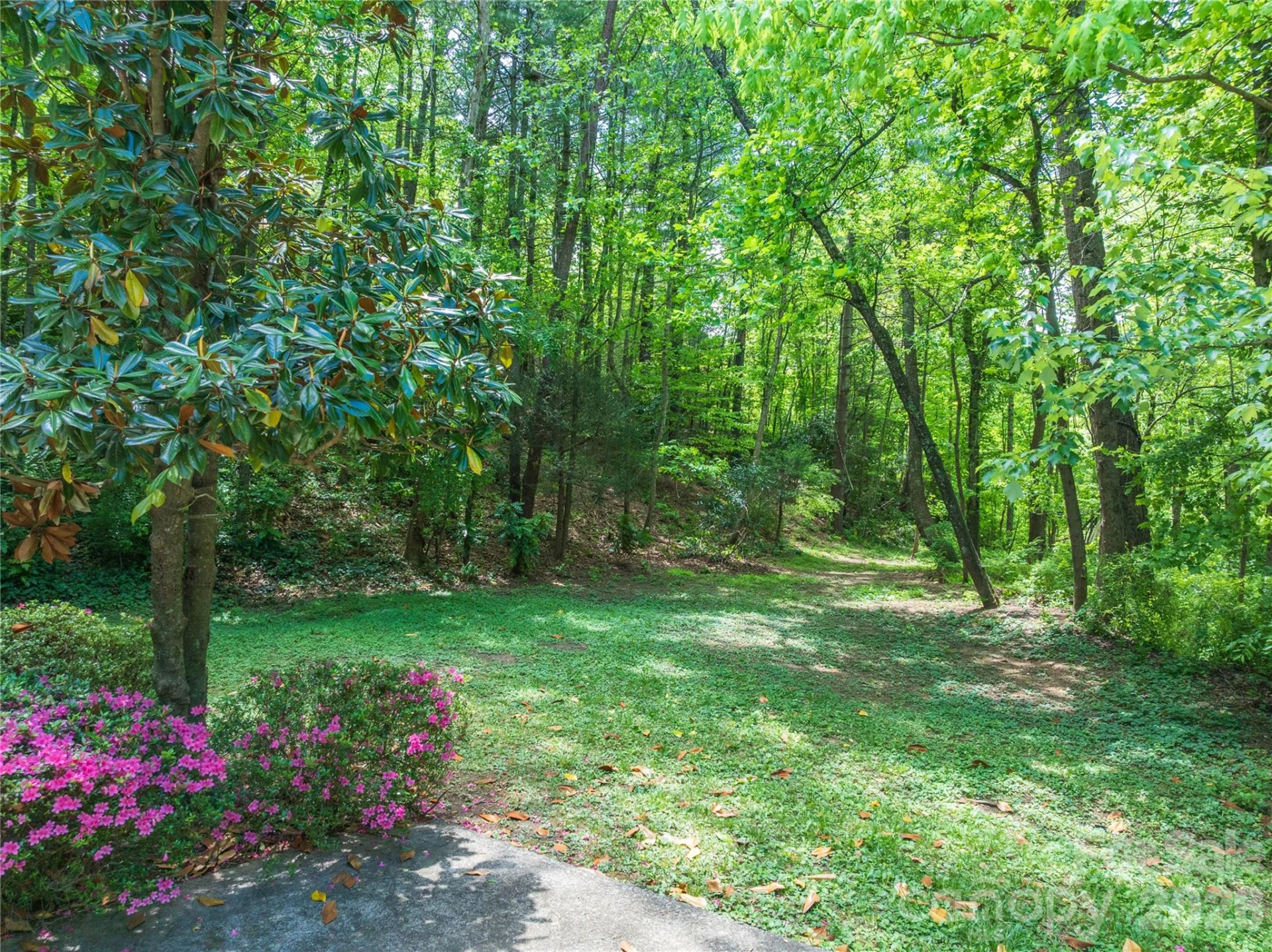 103 Hillside Drive - Photo 12