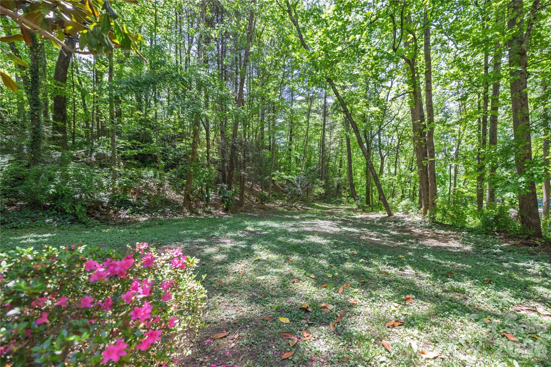 103 Hillside Drive - Photo 5