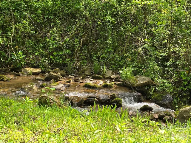 99999 Roaring Fork Road, Mars Hill, NC, 28754