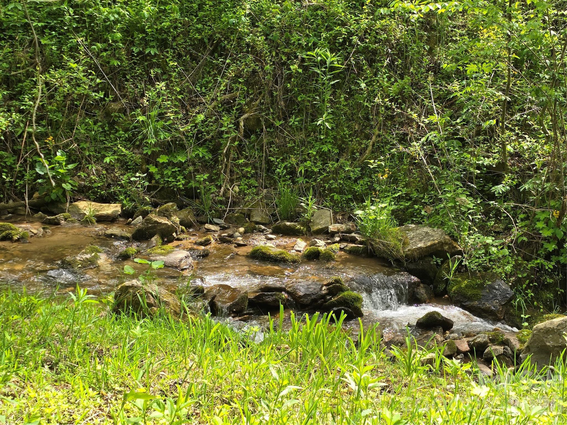 99999 Roaring Fork Road