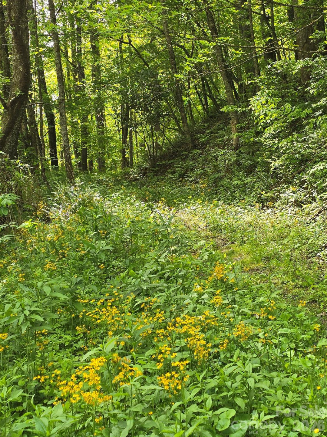 99999 Roaring Fork Road - Photo 11