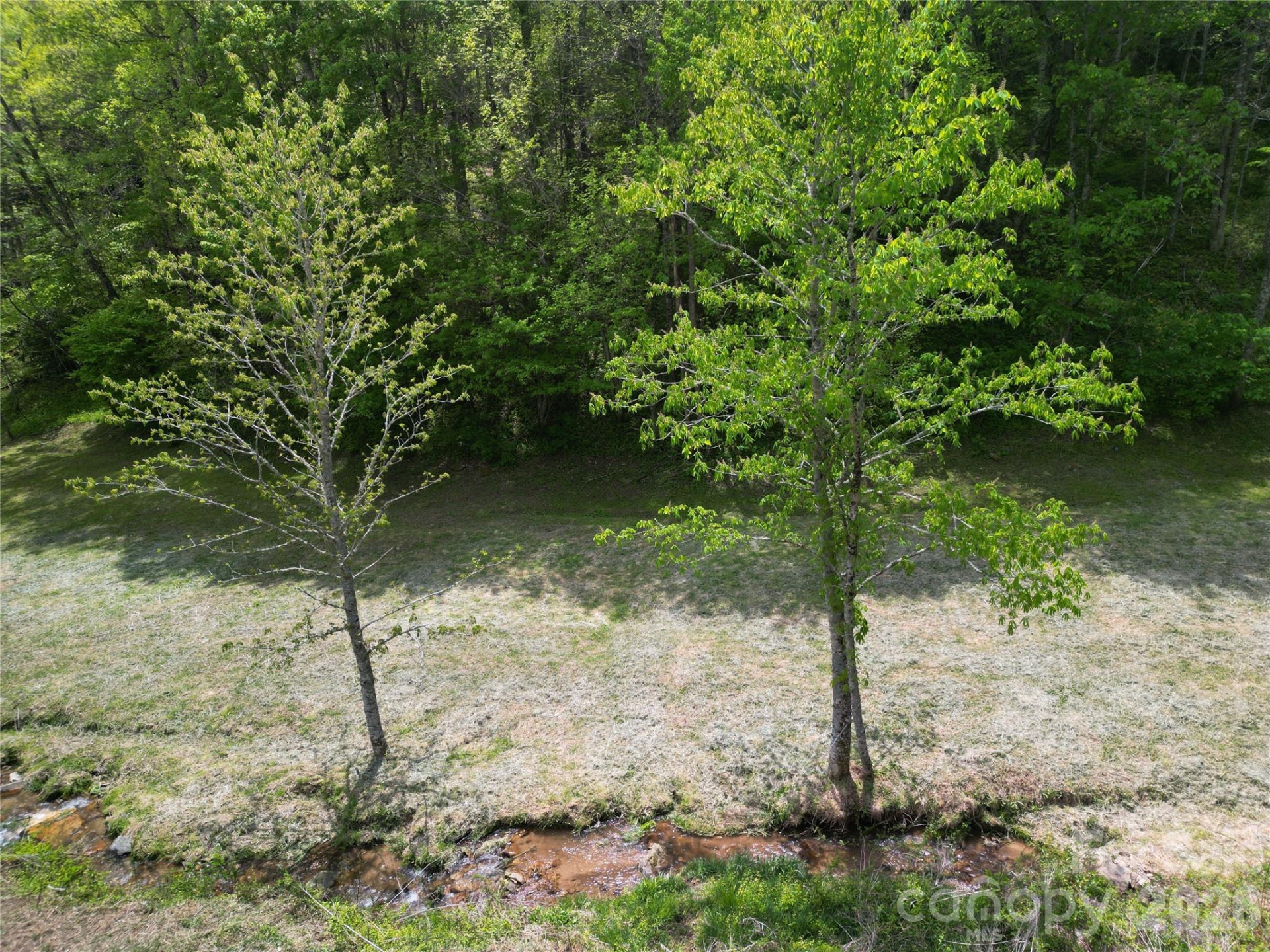 99999 Roaring Fork Road - Photo 13