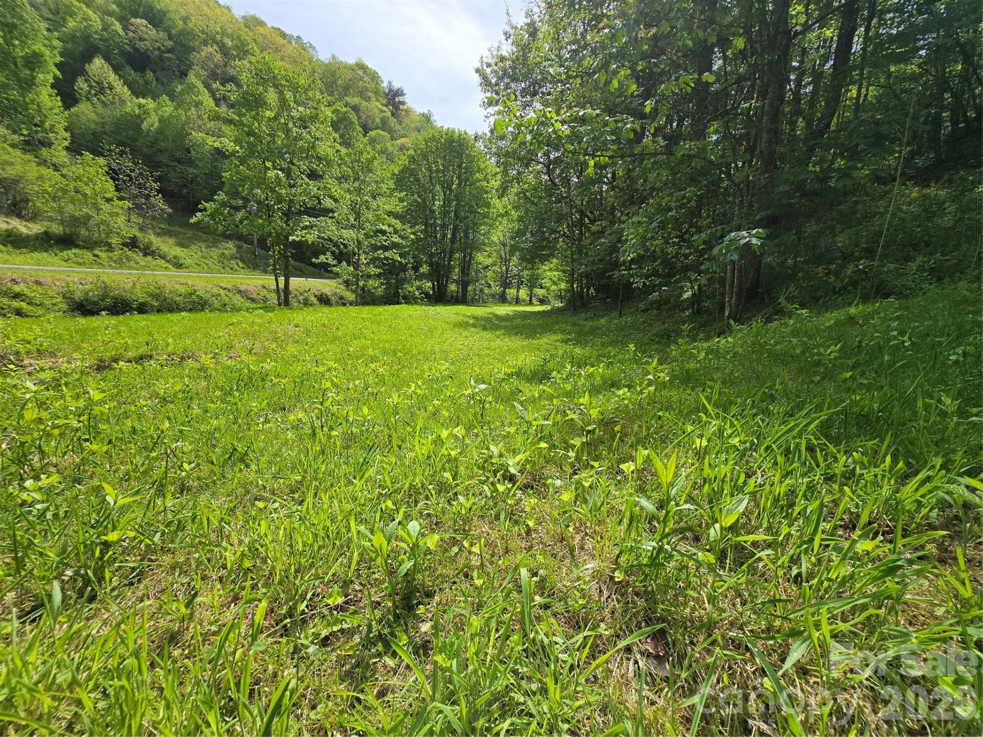 99999 Roaring Fork Road - Photo 14