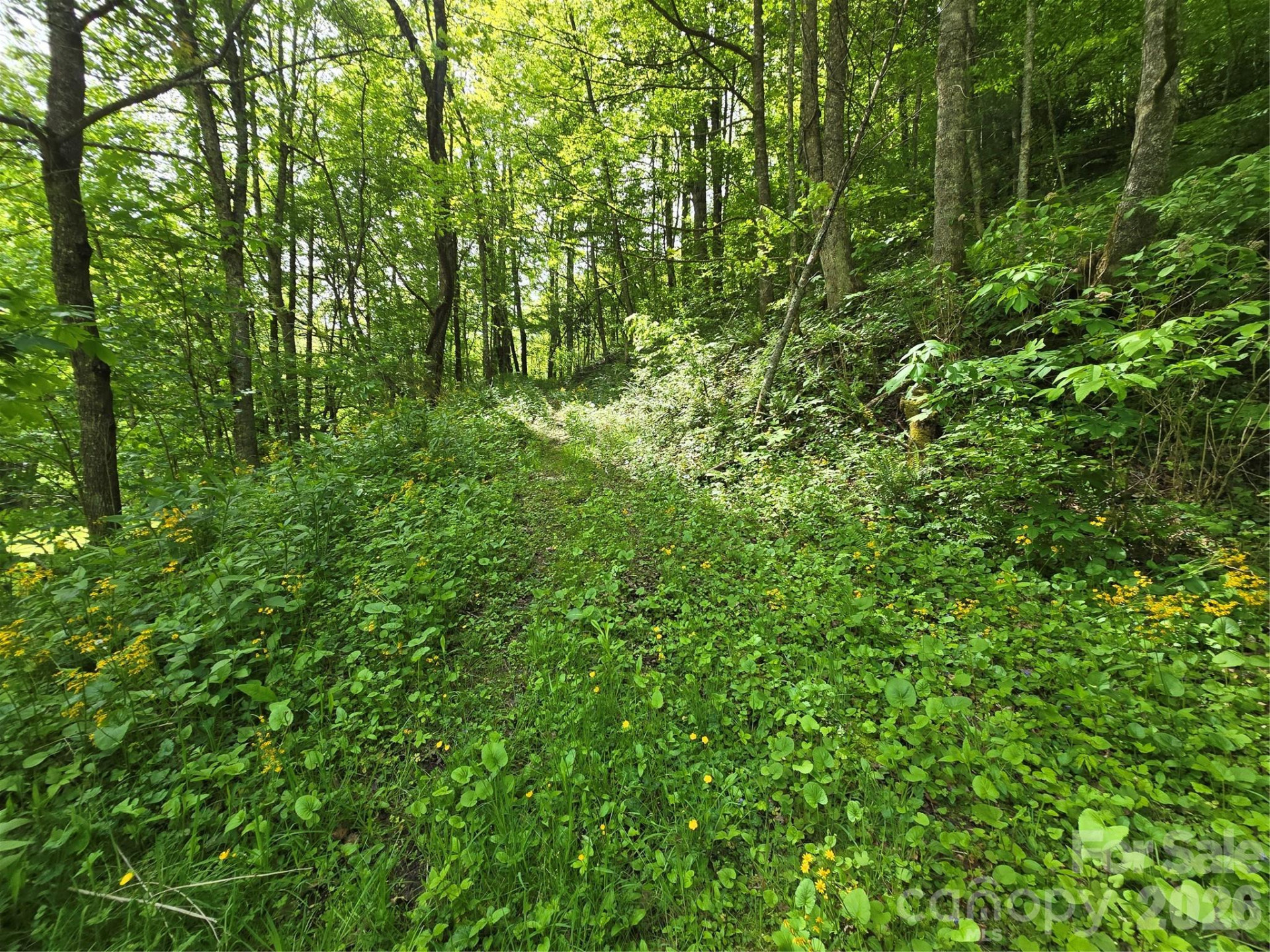 99999 Roaring Fork Road - Photo 15