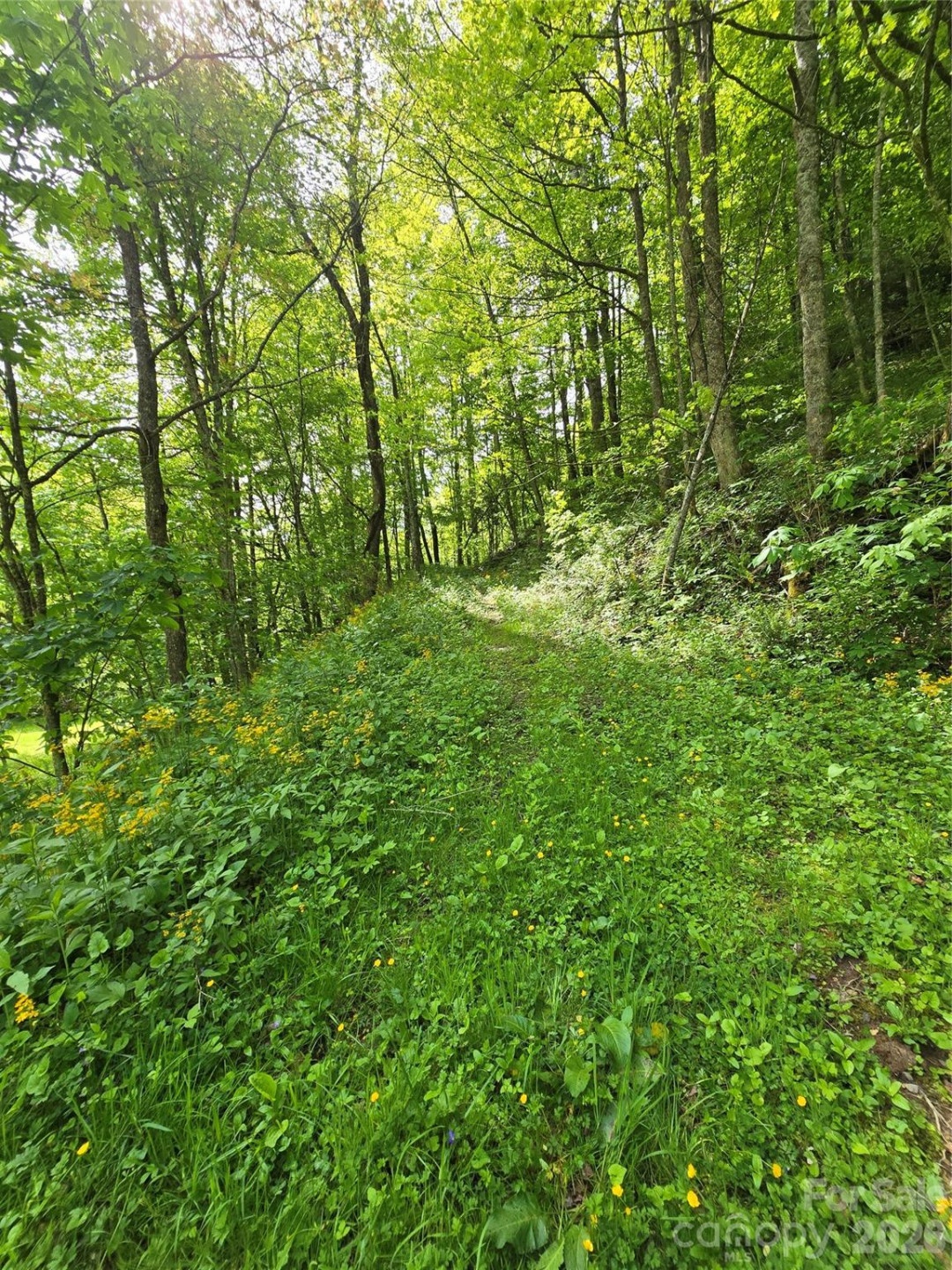 99999 Roaring Fork Road - Photo 16