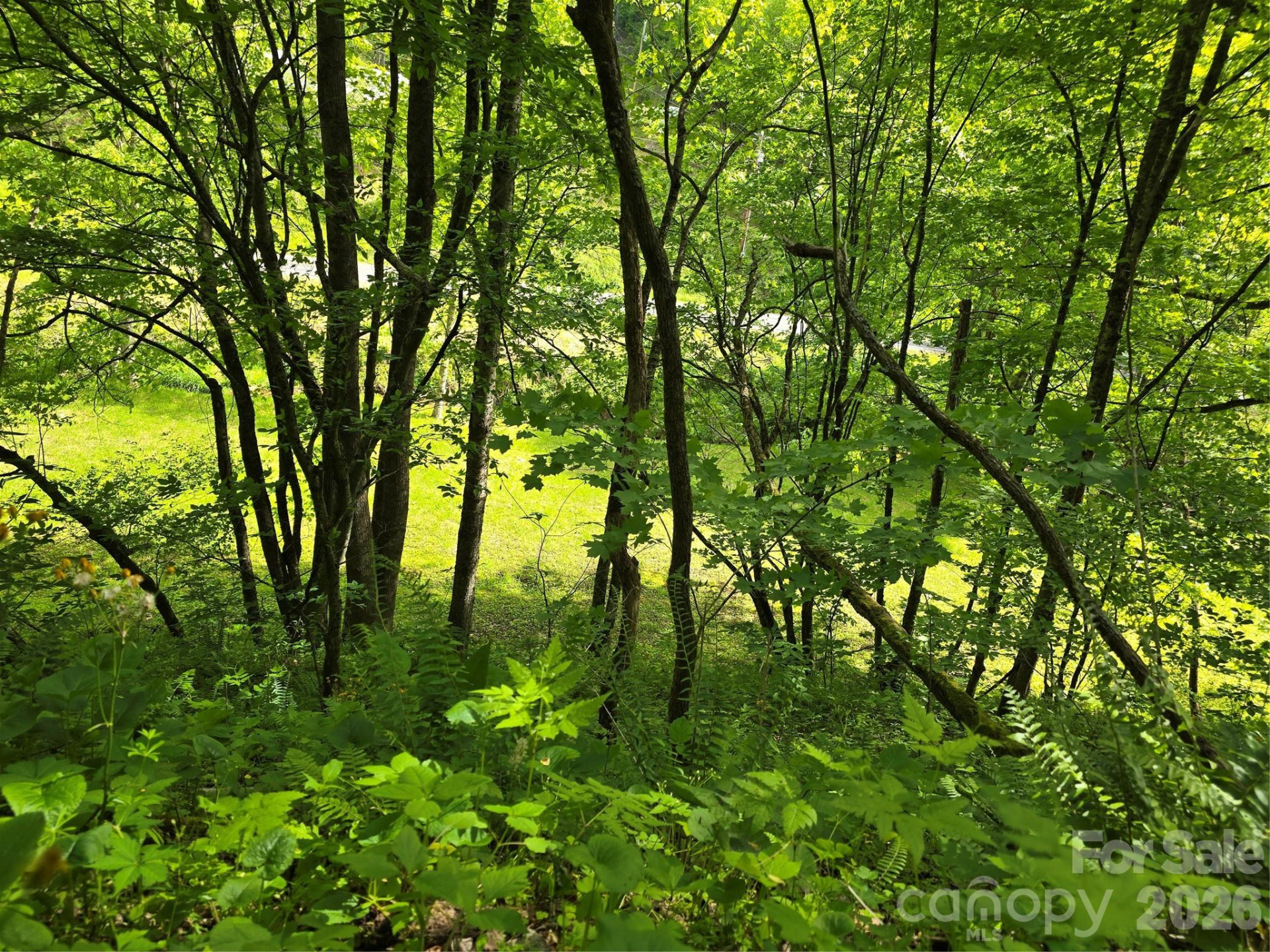 99999 Roaring Fork Road - Photo 17