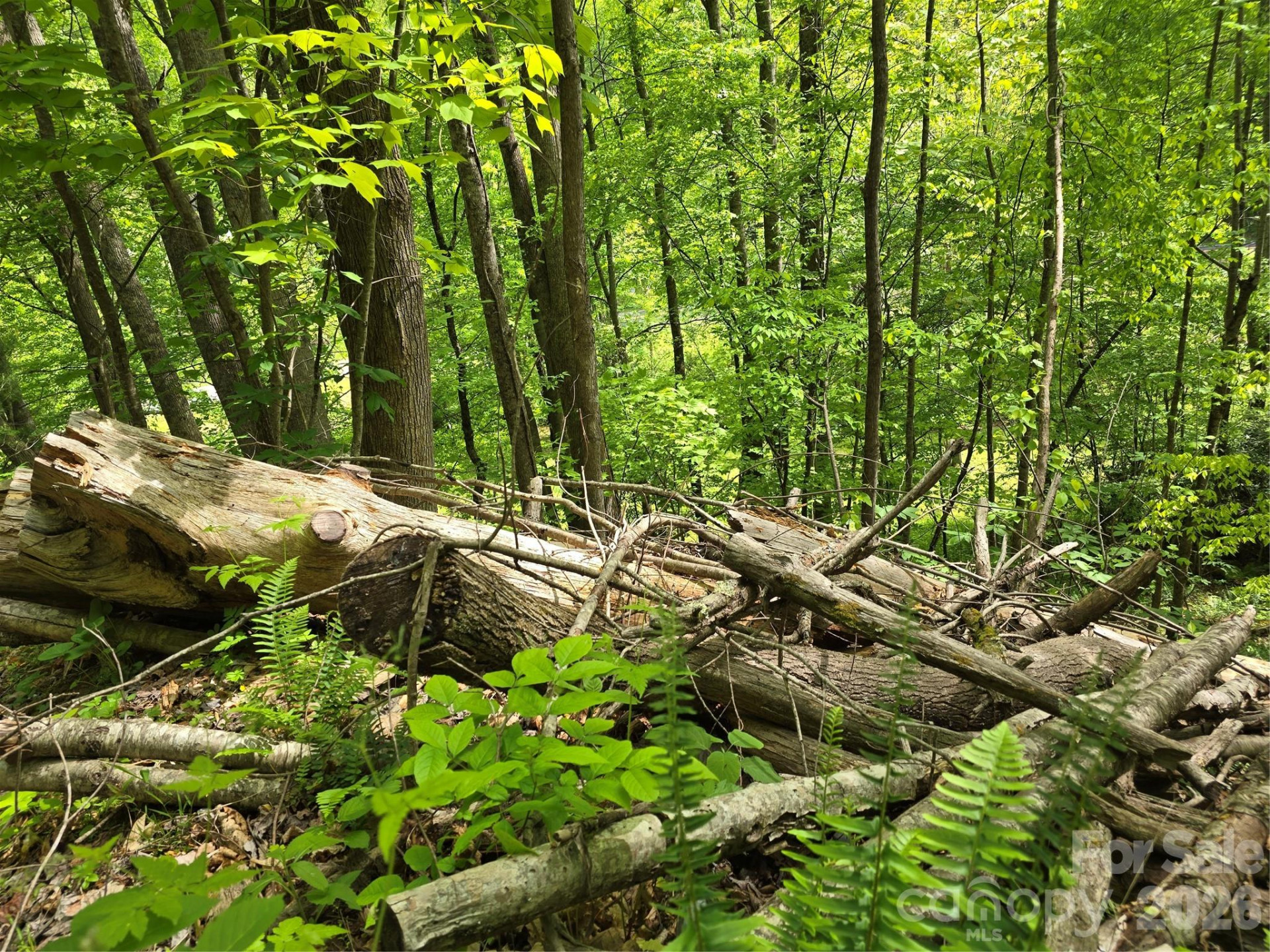 99999 Roaring Fork Road - Photo 18