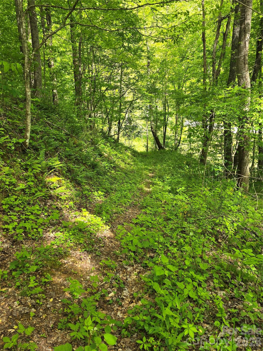 99999 Roaring Fork Road - Photo 19
