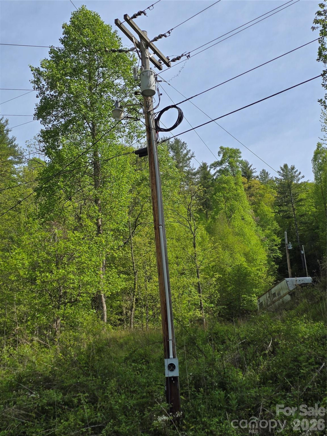 99999 Roaring Fork Road - Photo 3