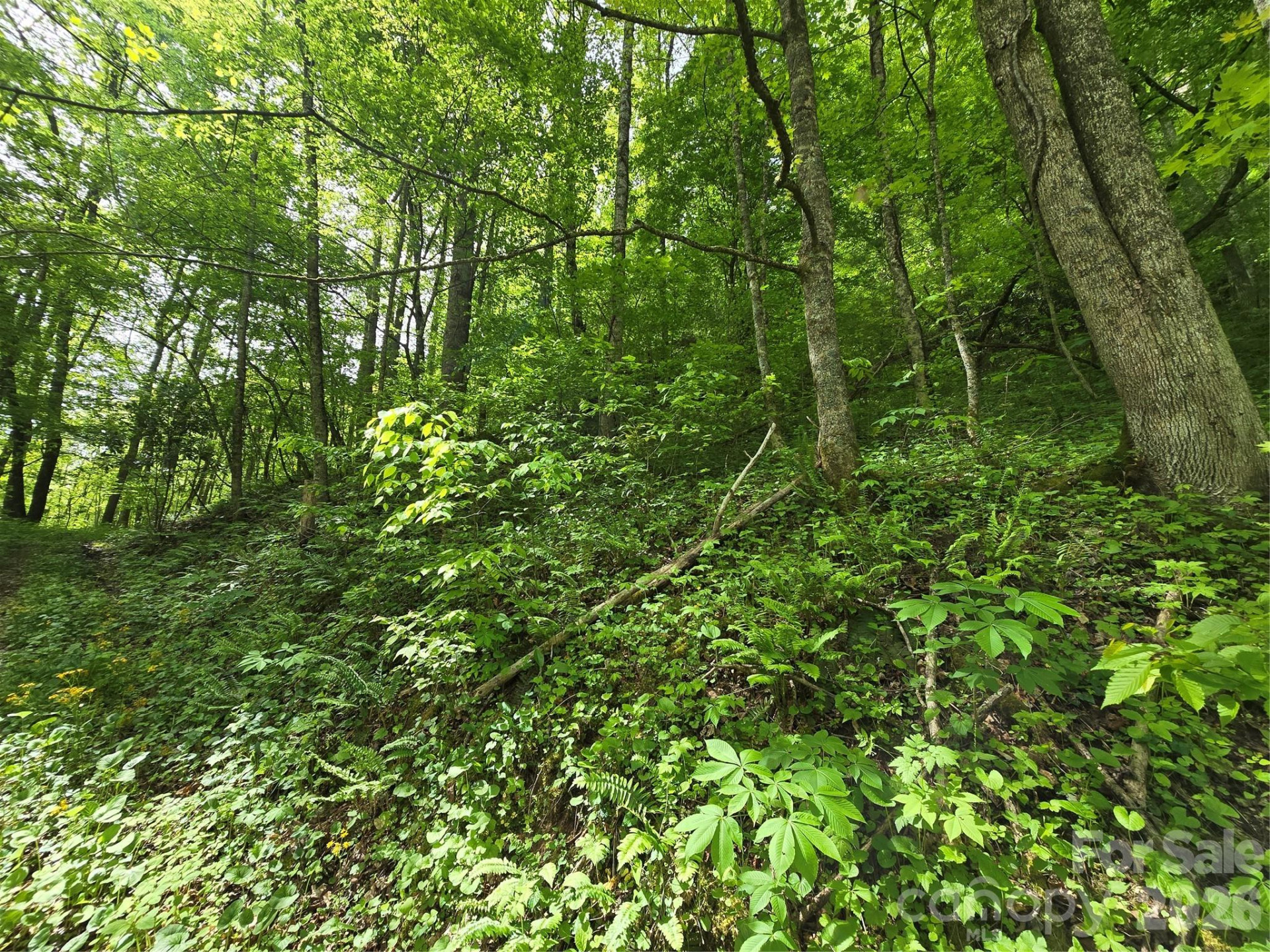 99999 Roaring Fork Road - Photo 21
