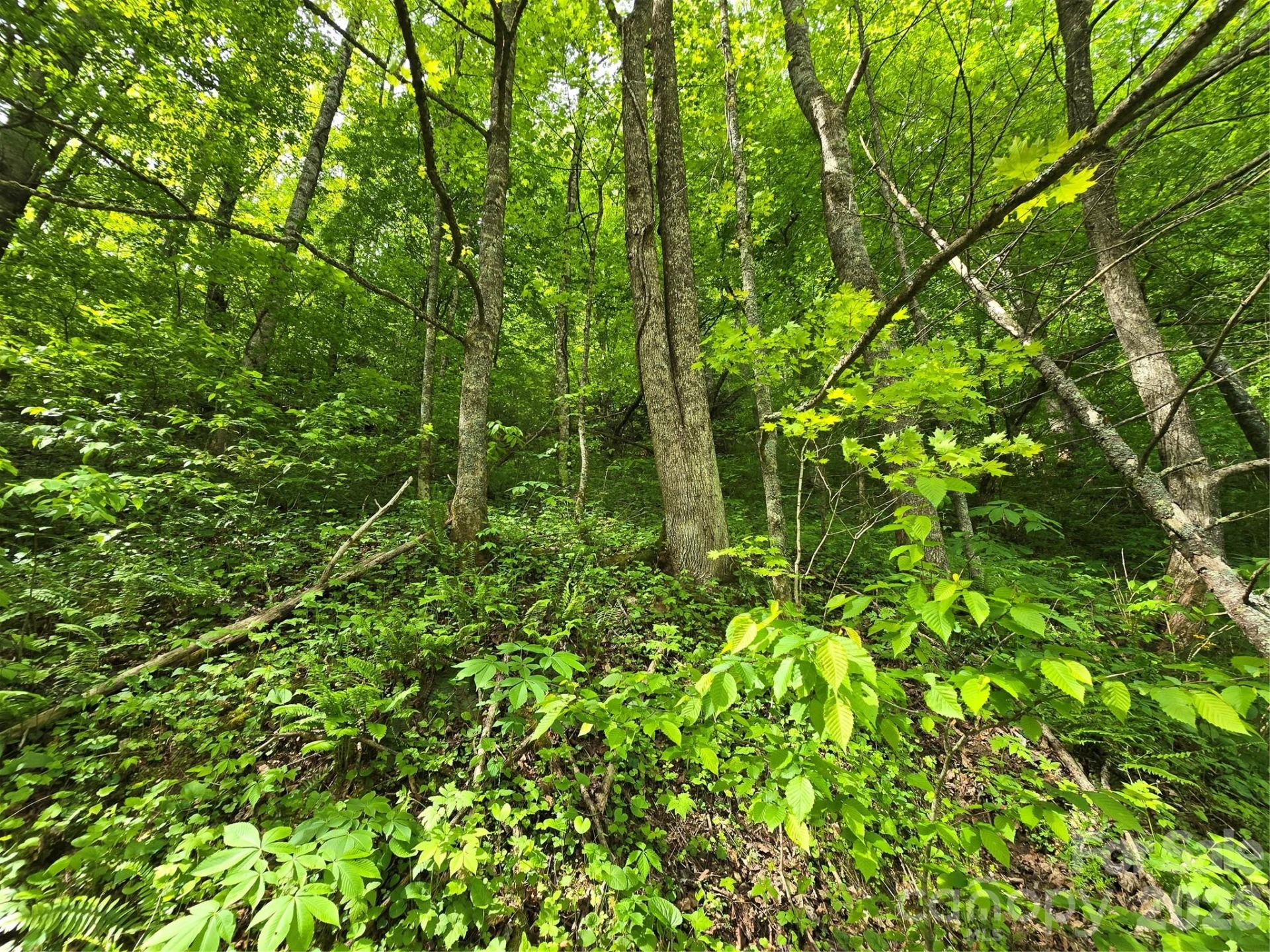 99999 Roaring Fork Road - Photo 22
