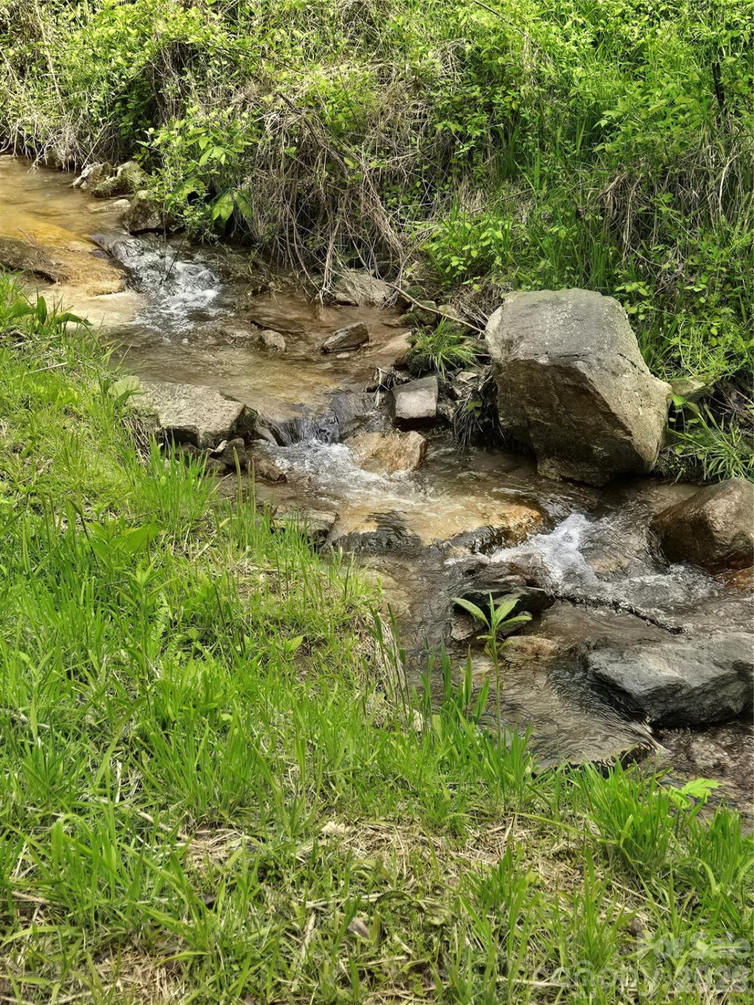99999 Roaring Fork Road - Photo 5