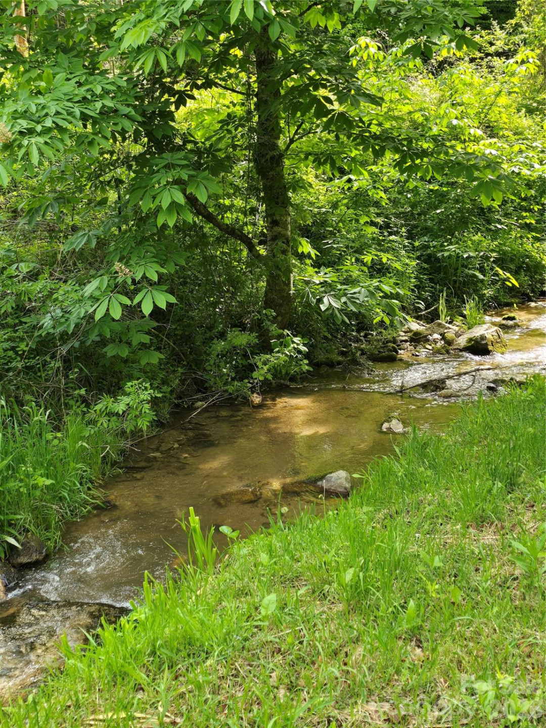 99999 Roaring Fork Road - Photo 6