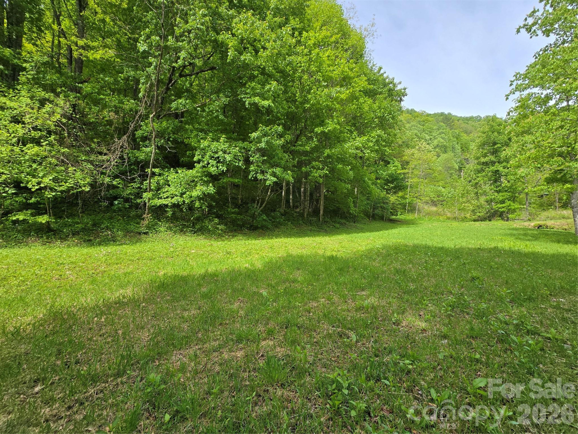 99999 Roaring Fork Road - Photo 8