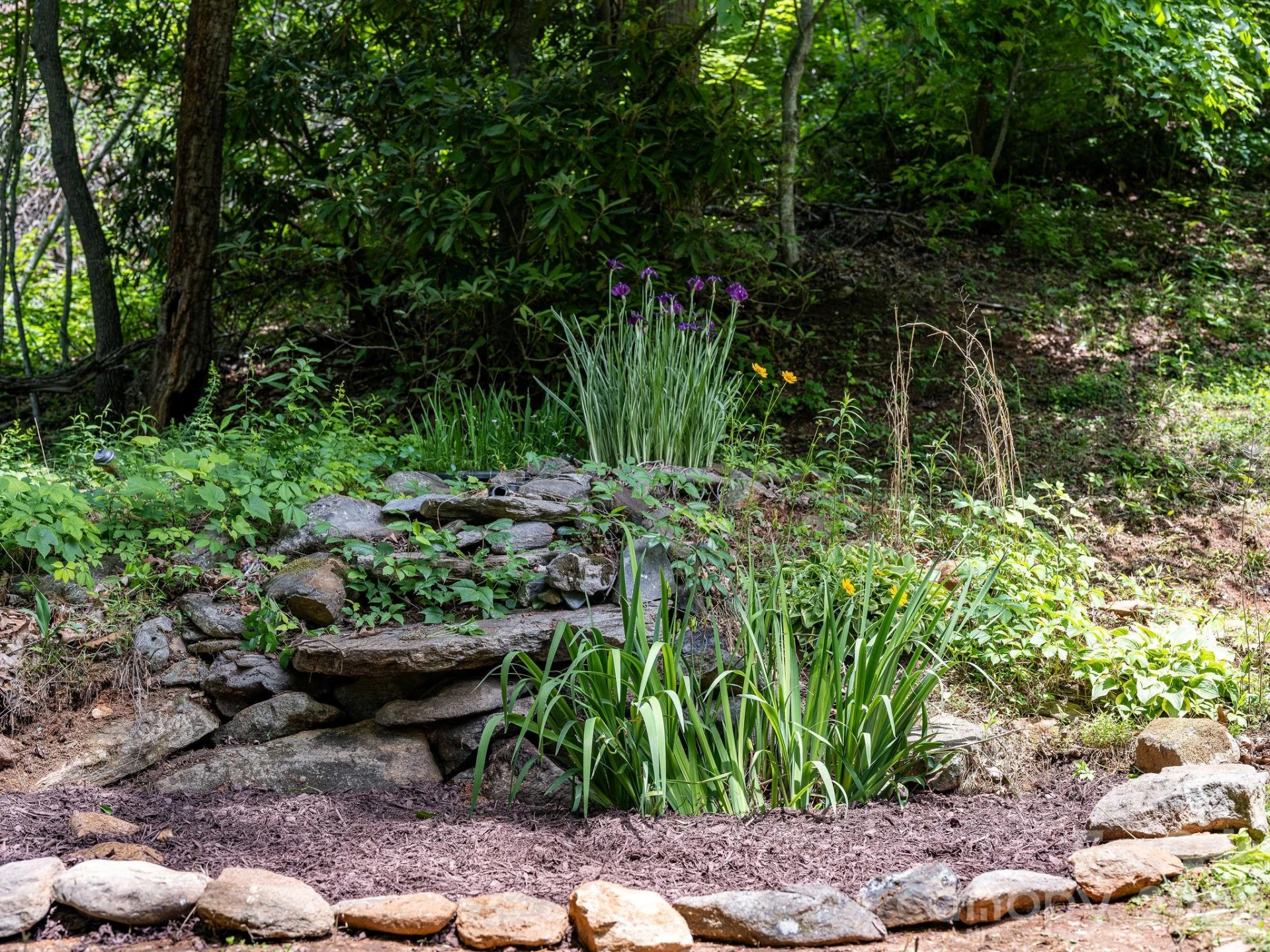174 deep woods Trail - Photo 39