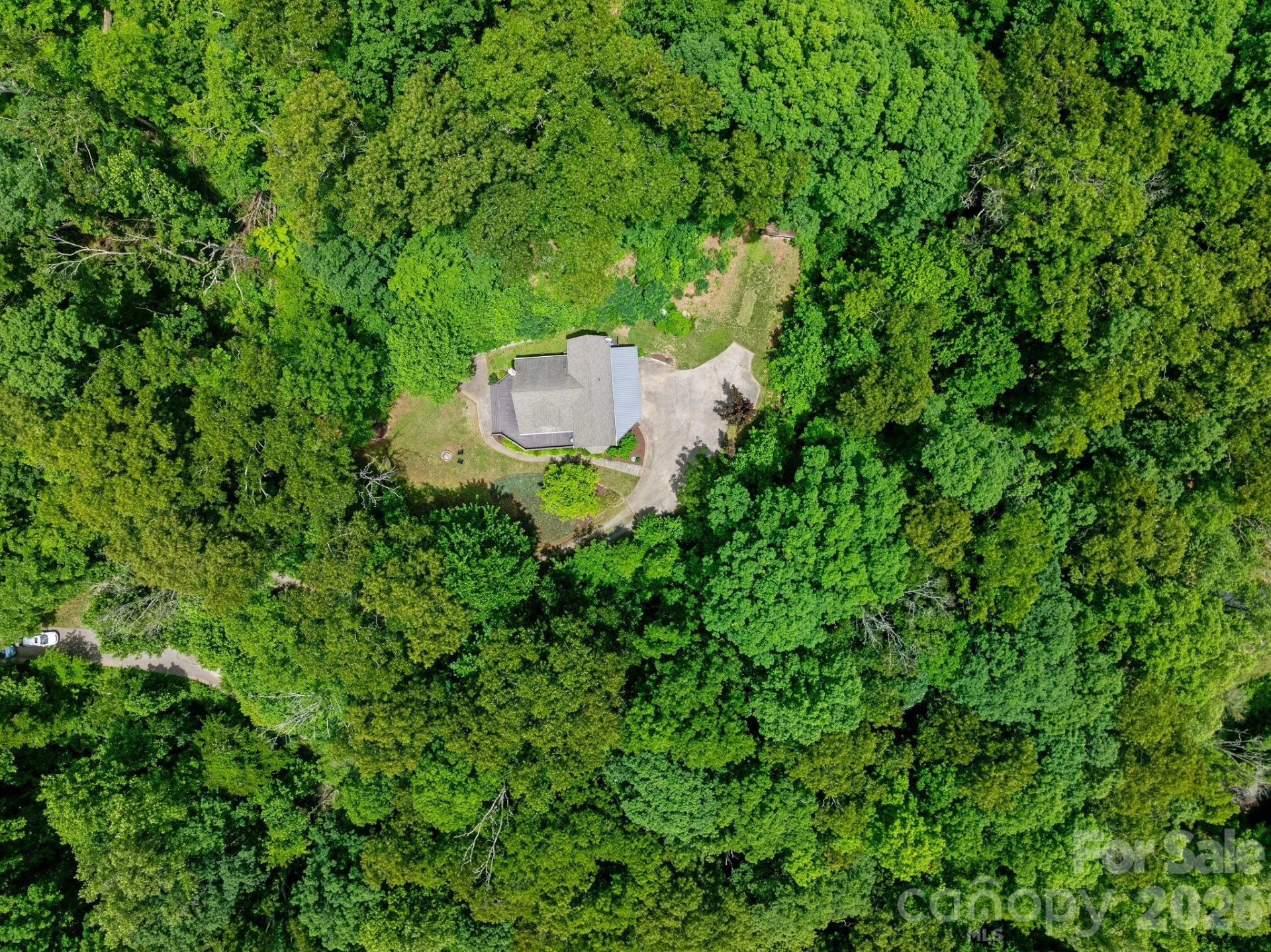 174 deep woods Trail - Photo 41