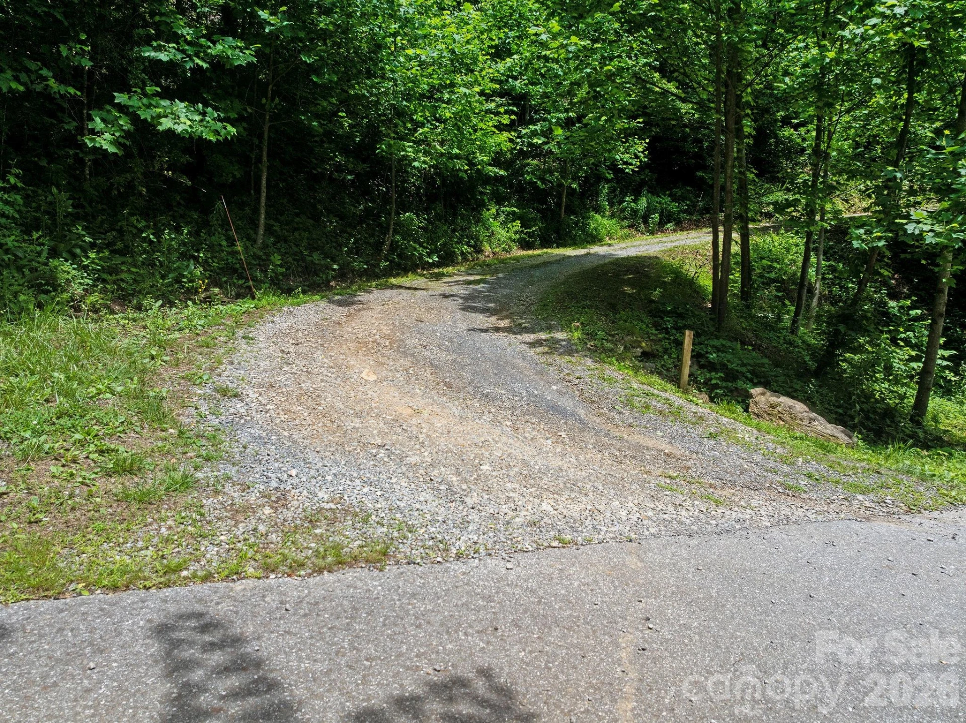 174 deep woods Trail - Photo 45
