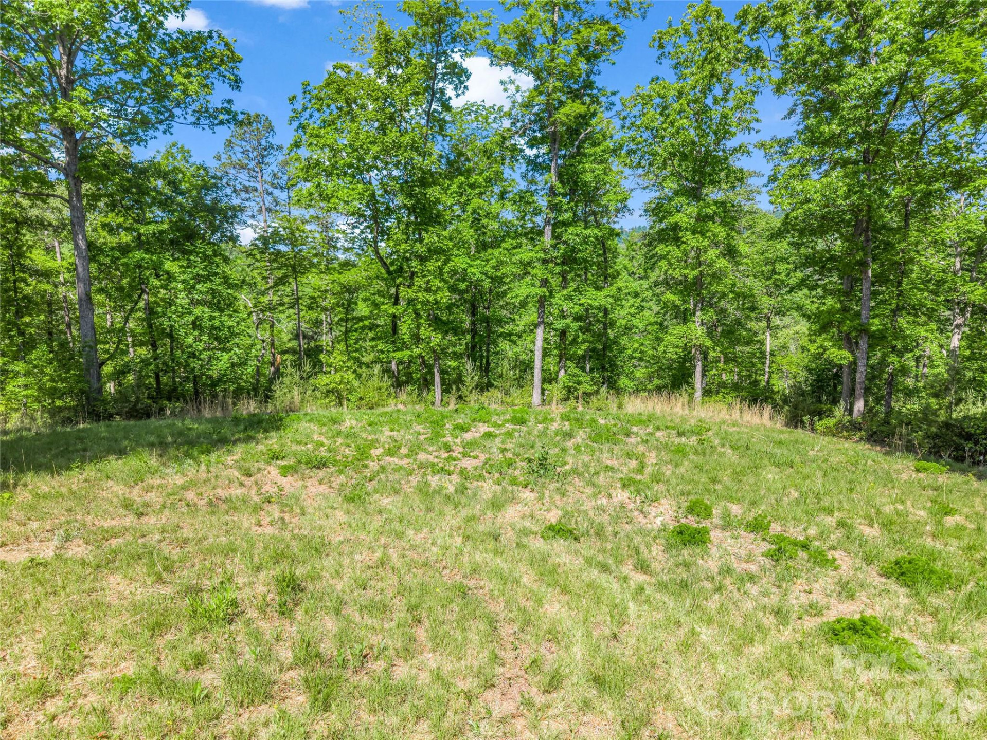 400 Calhoun Trail - Photo 47