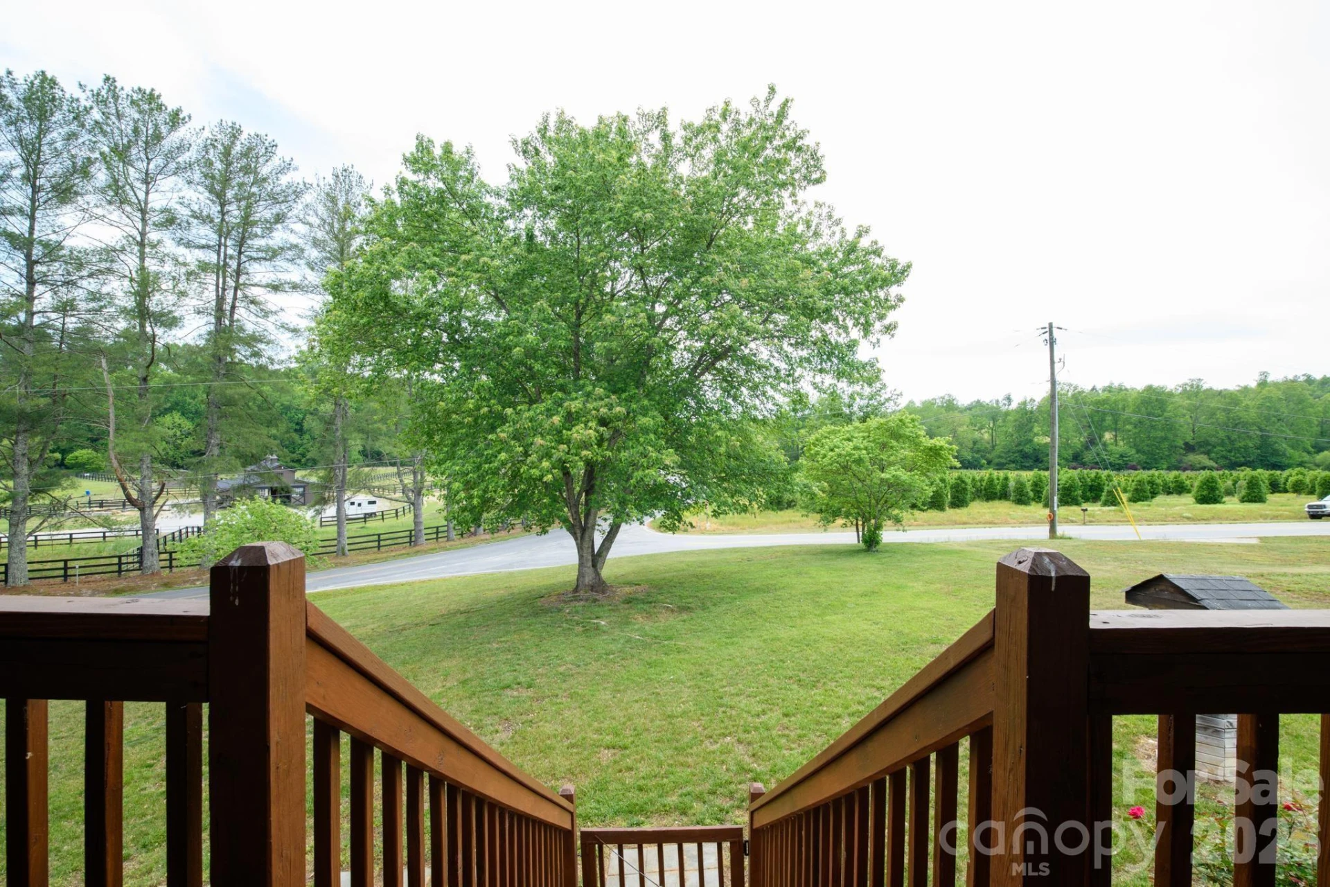 3680 Rocky Road - Photo 17