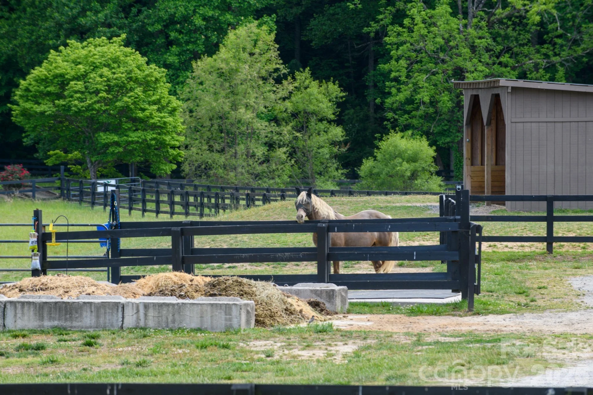 3680 Rocky Road - Photo 39