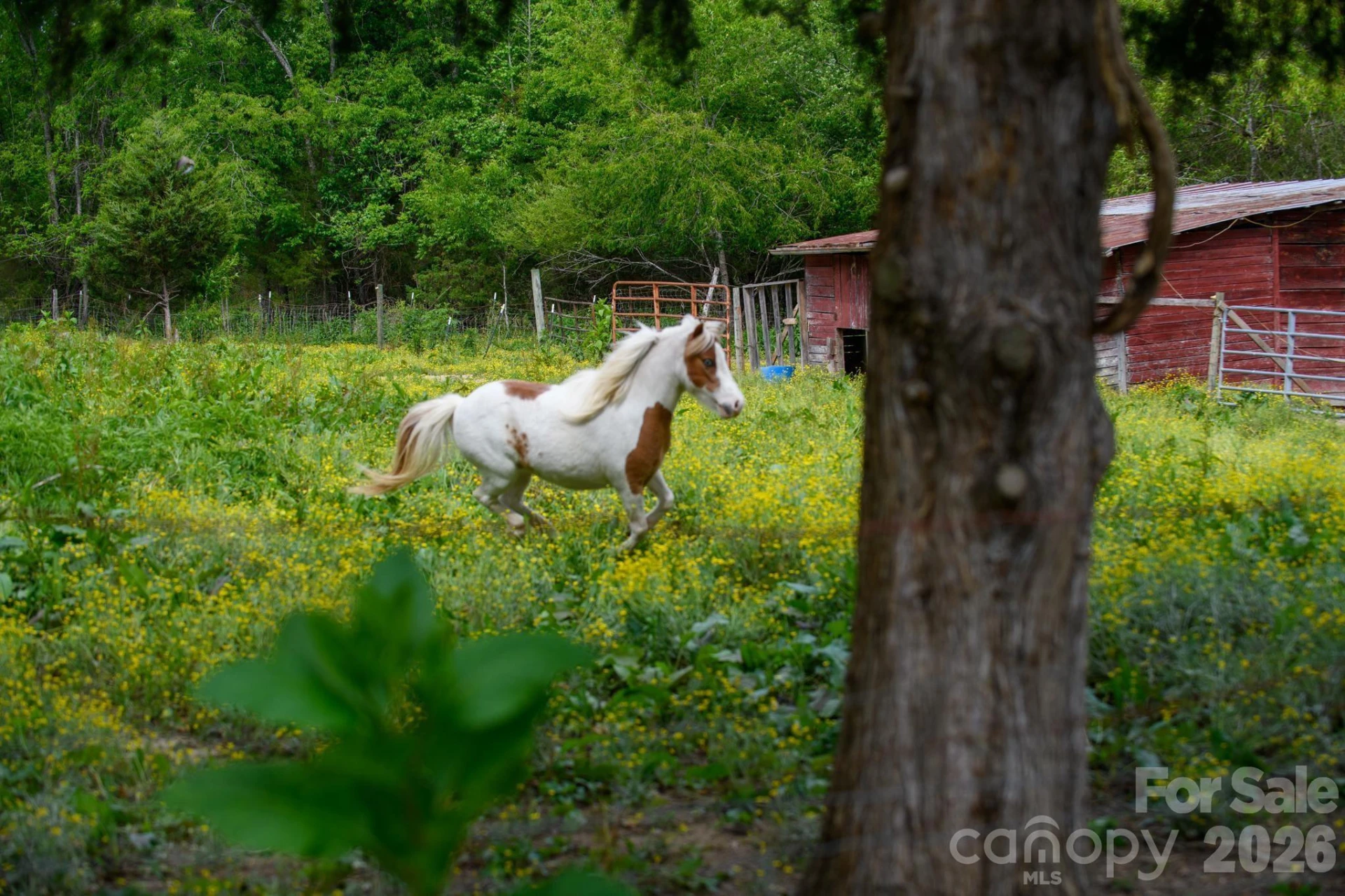 3680 Rocky Road - Photo 40