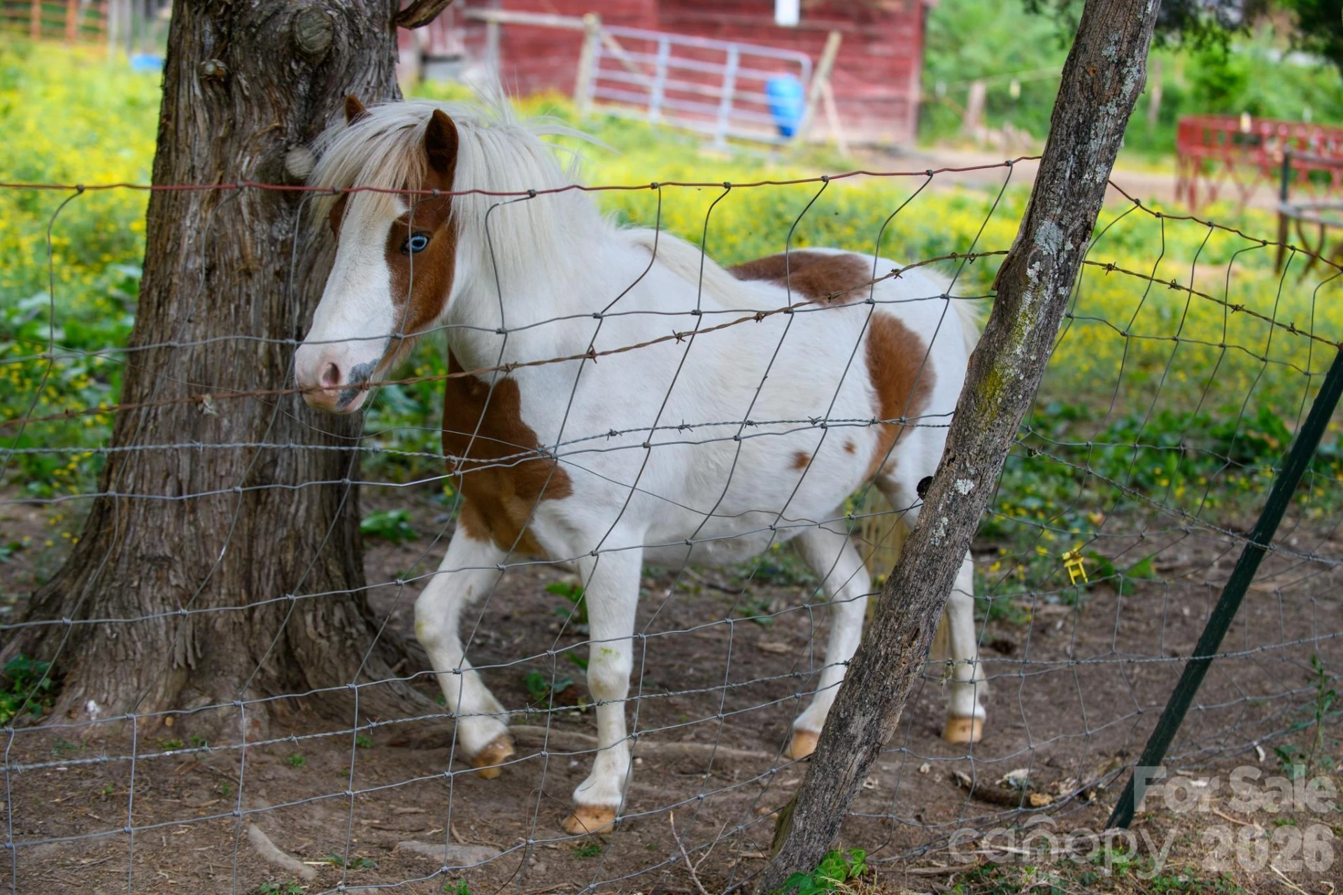 3680 Rocky Road - Photo 41