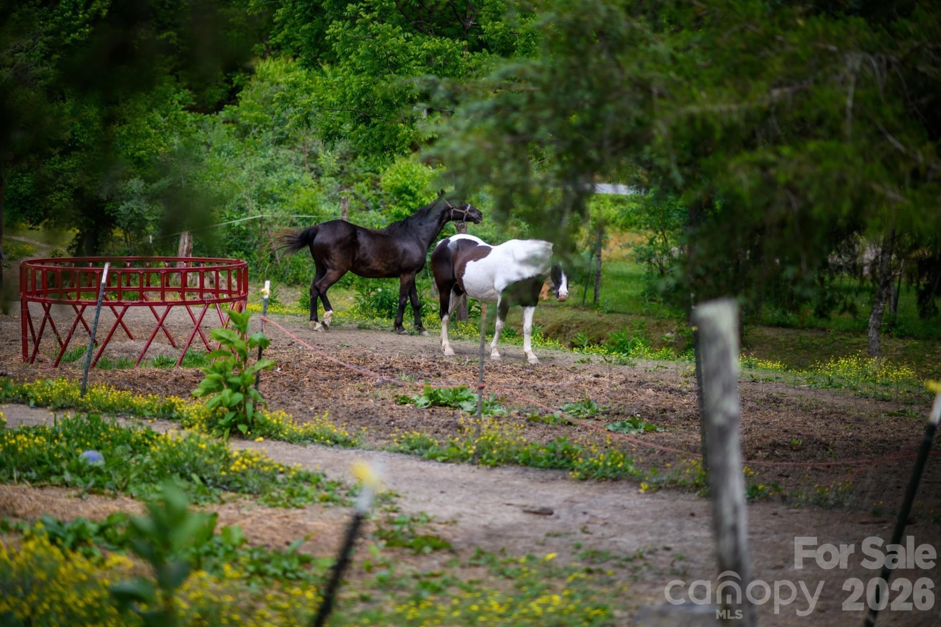 3680 Rocky Road - Photo 43