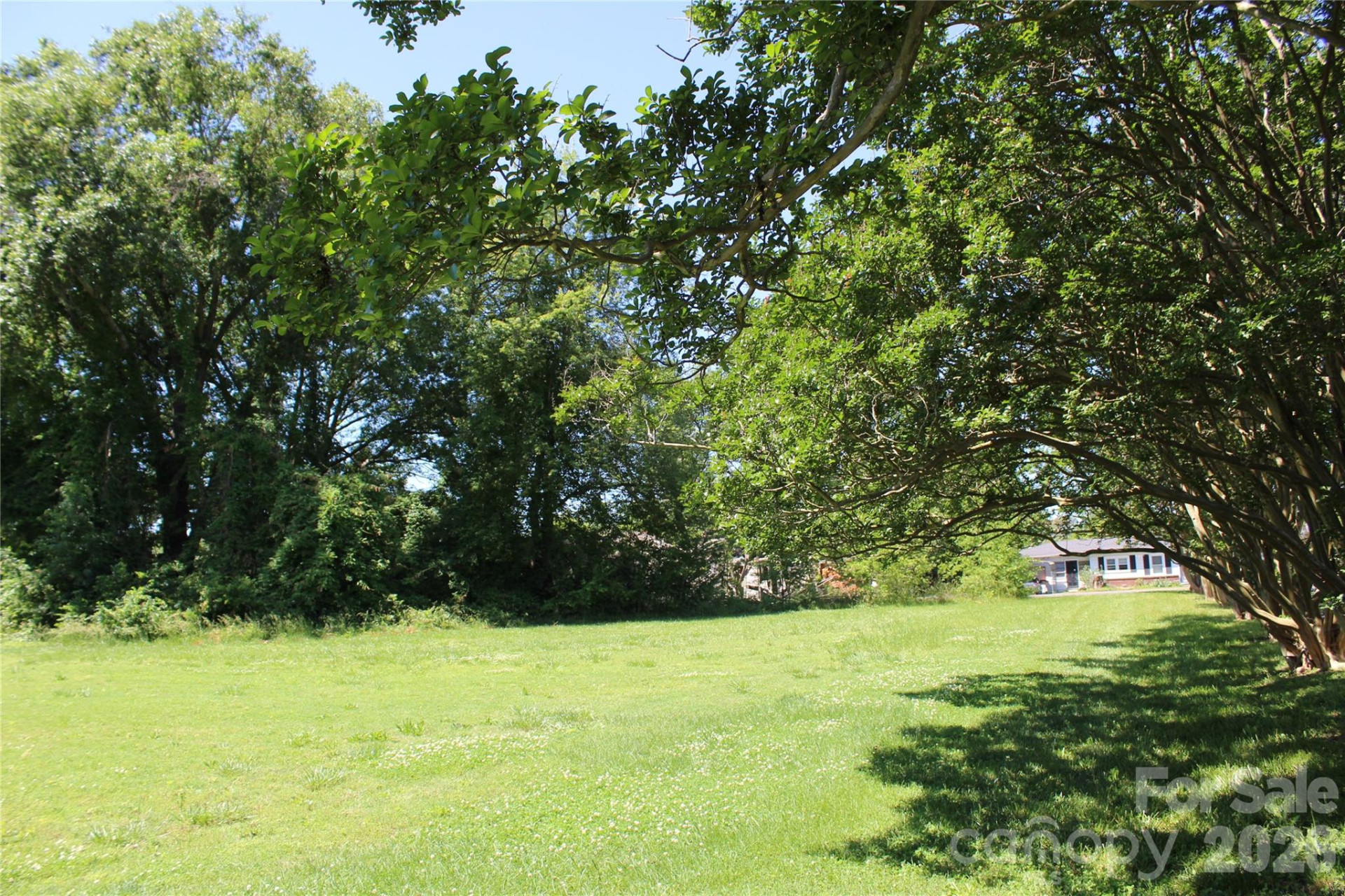 617 US 221 Highway - Photo 10