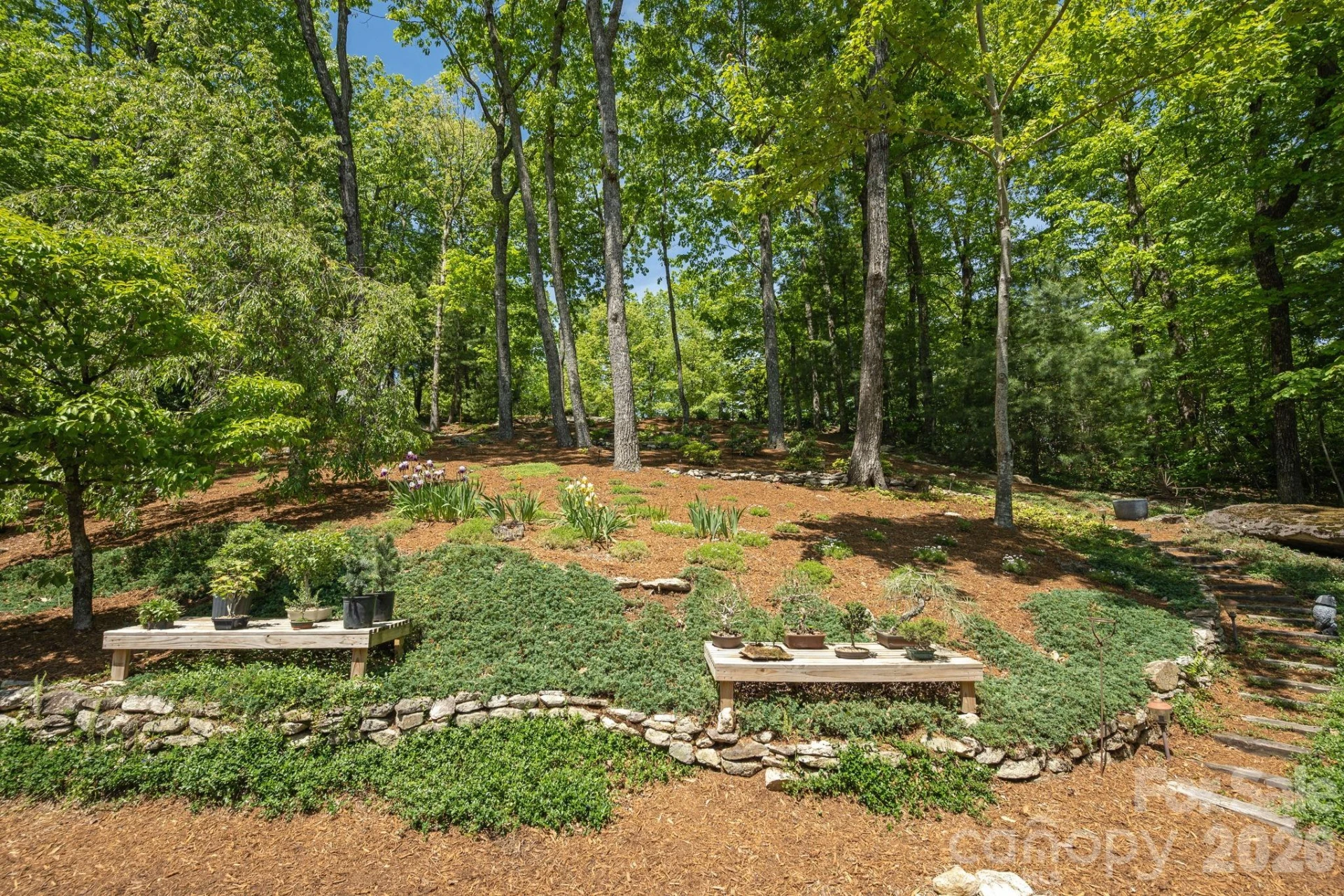 258 DALHOUSIE Court - Photo 13