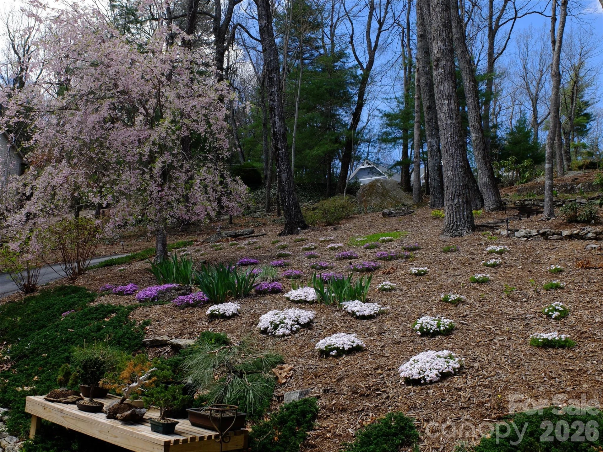 258 DALHOUSIE Court - Photo 5