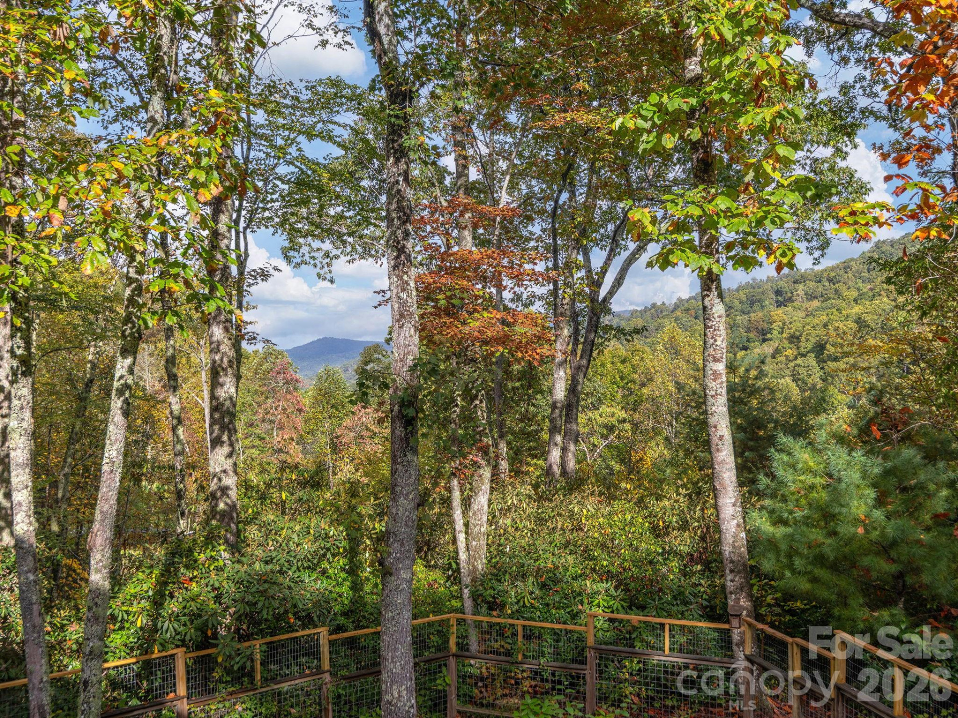 102 Carriage Drive - Photo 31