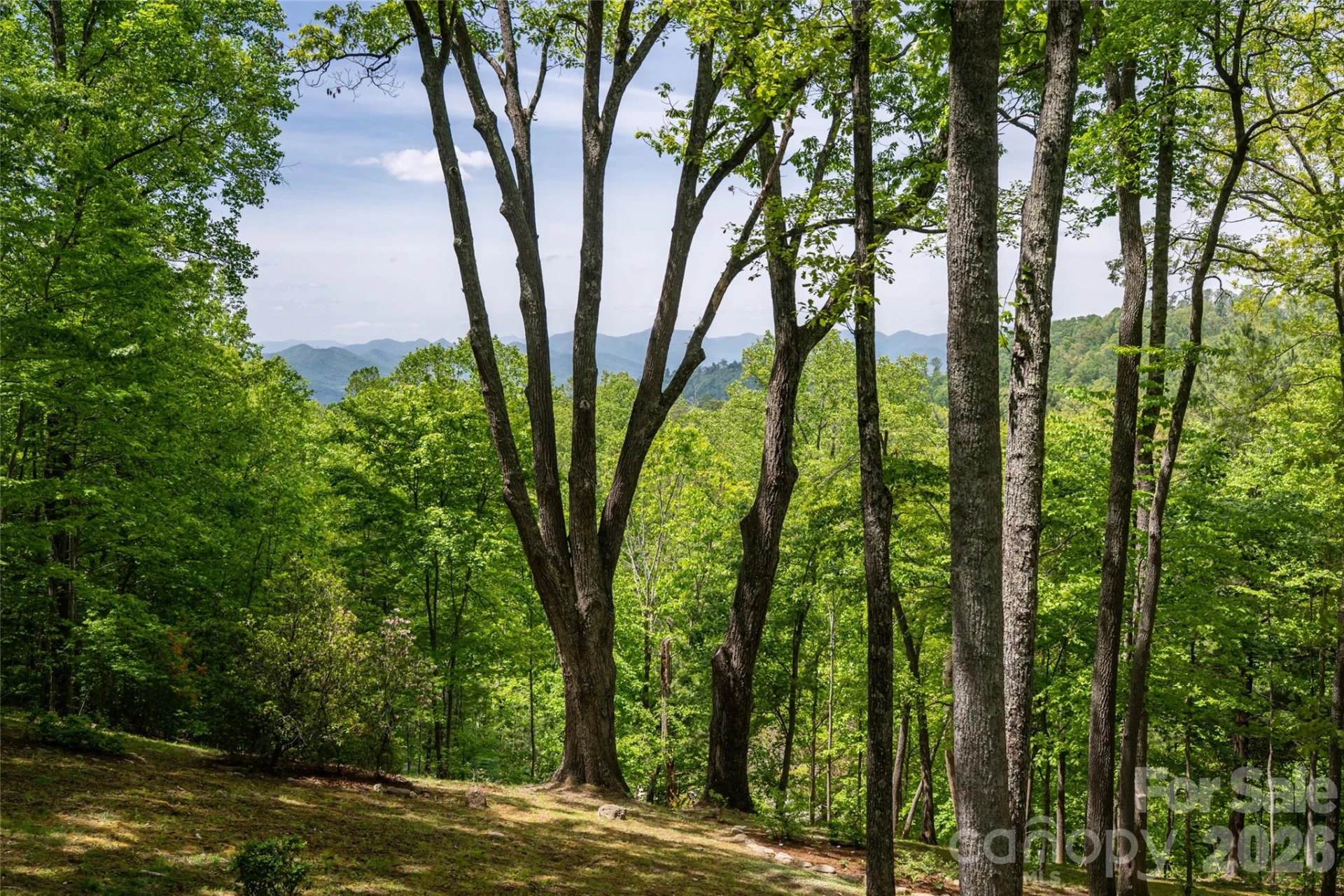 15 Hunters Way - Photo 4