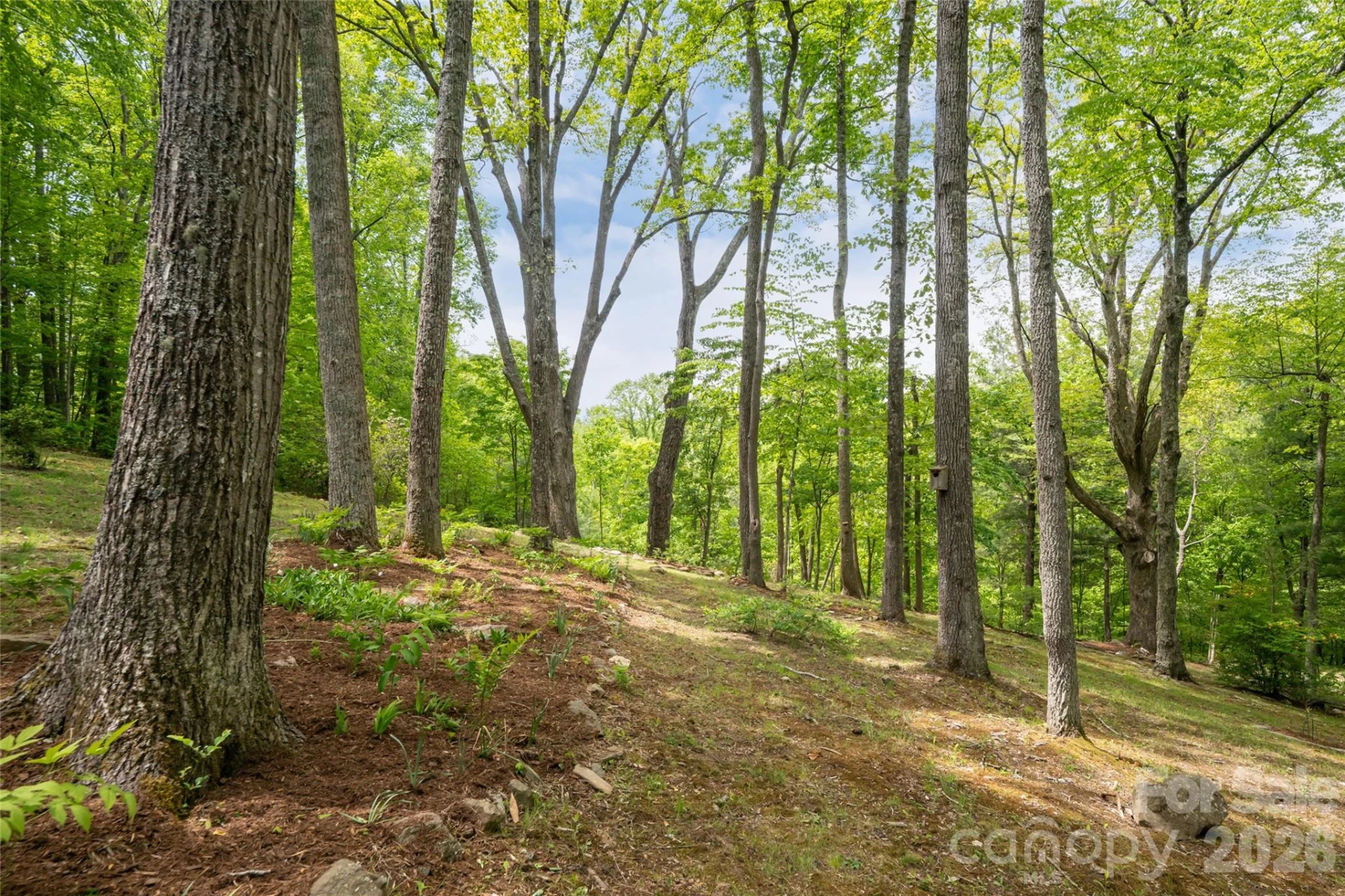 15 Hunters Way - Photo 44