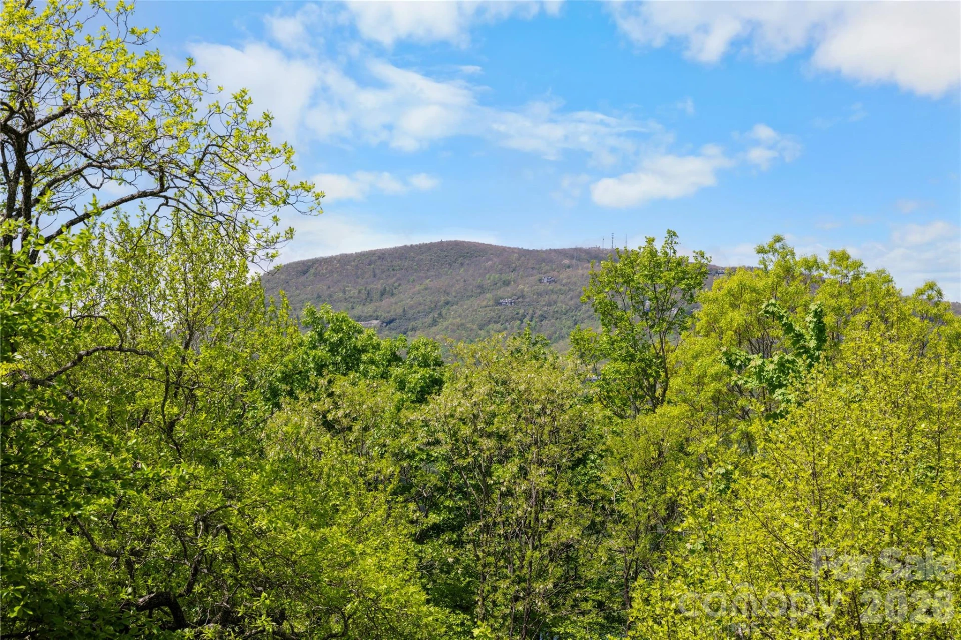 536 Hawk Mountain Road - Photo 26