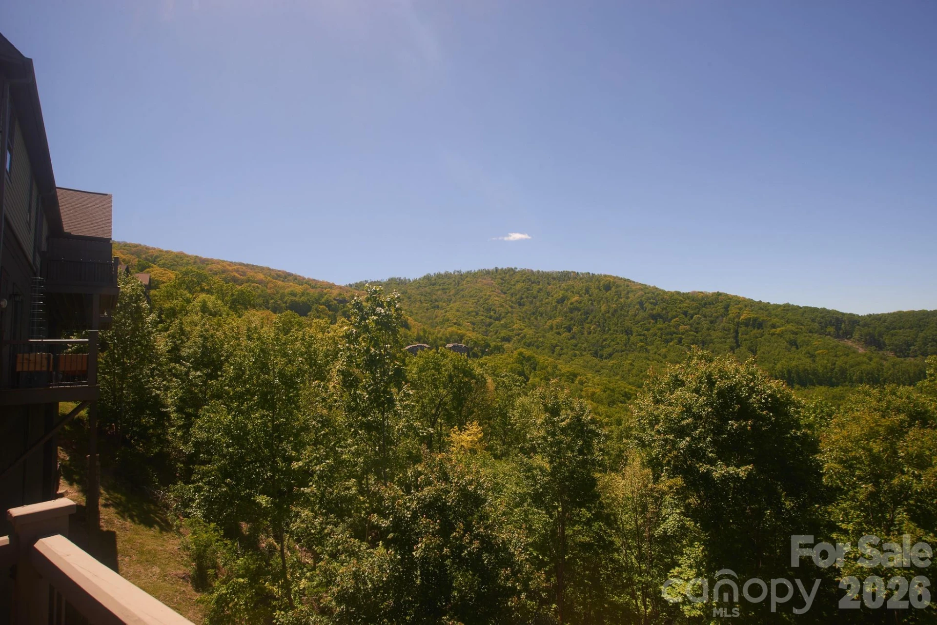 427 Spring Rock Road - Photo 15