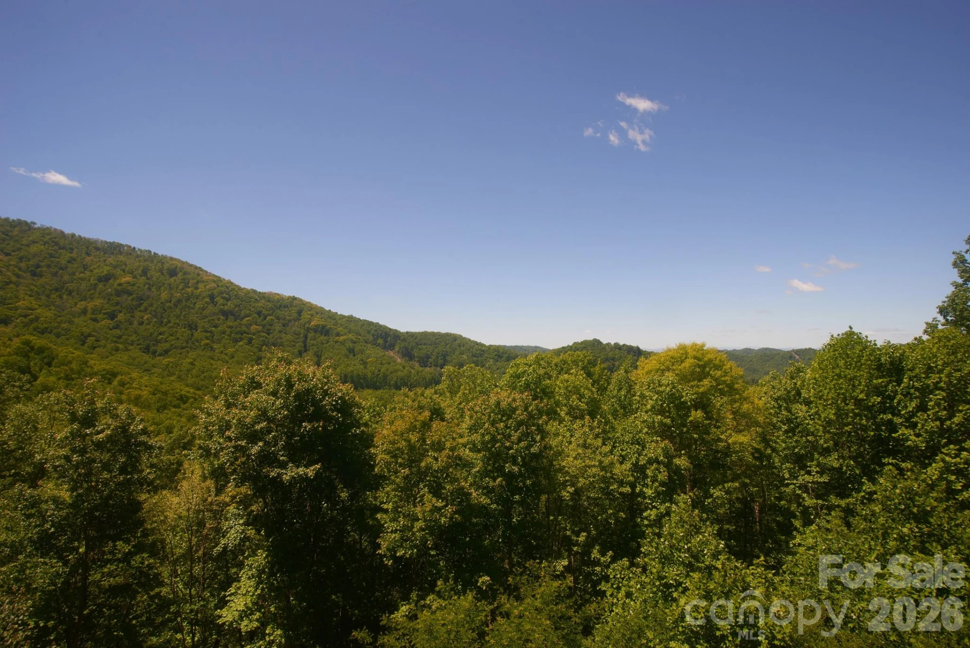 427 Spring Rock Road - Photo 16