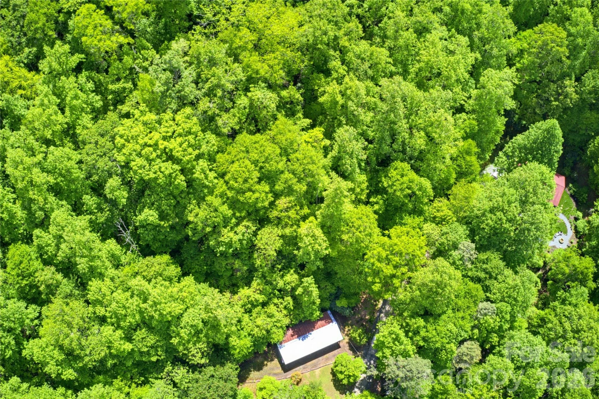 223 Little Cove Road - Photo 7