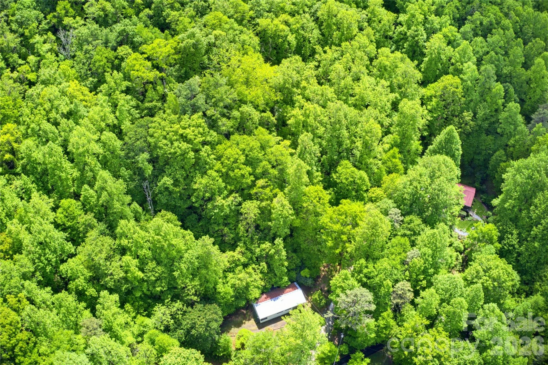 223 Little Cove Road - Photo 8