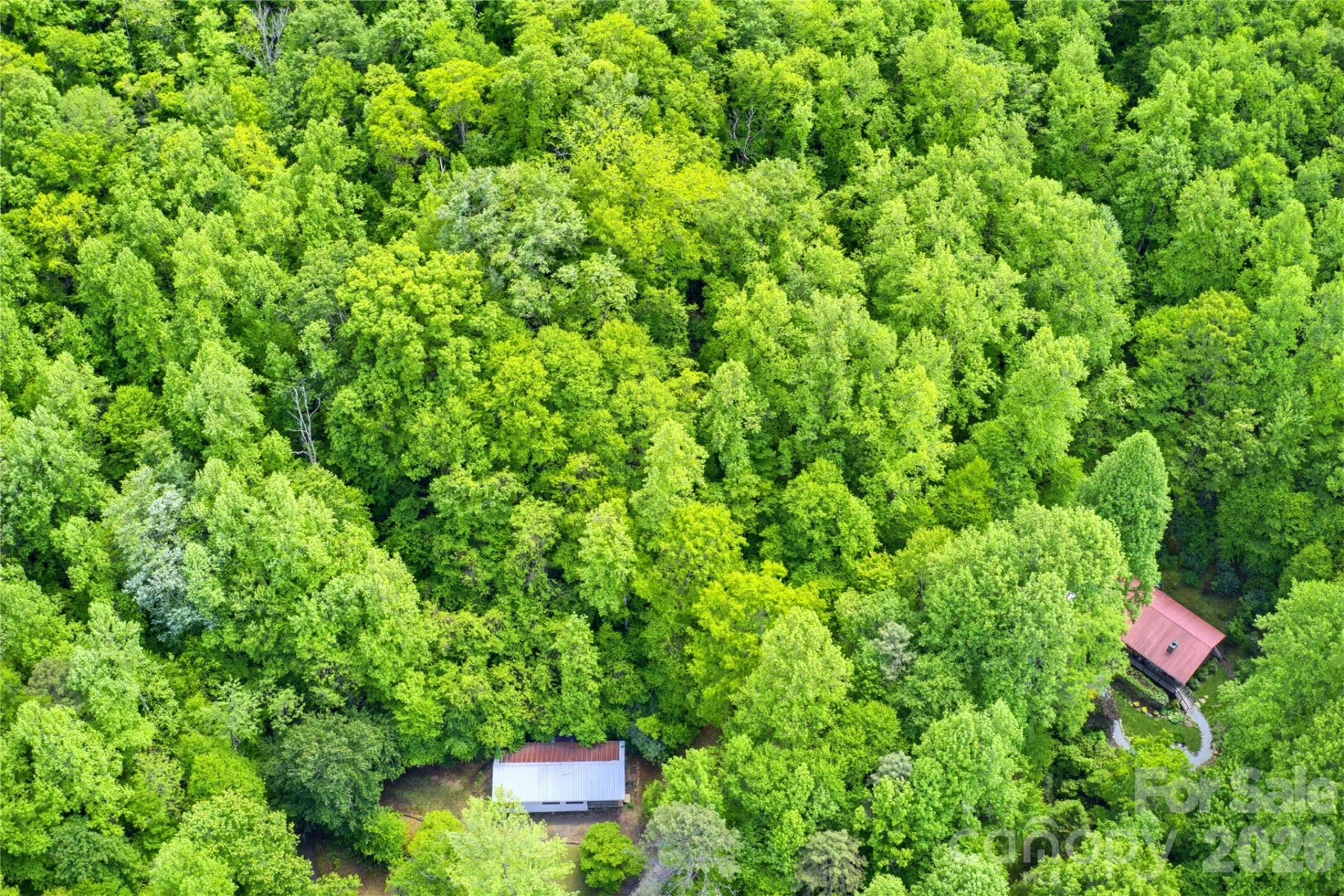 223 Little Cove Road - Photo 9