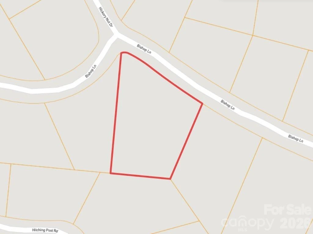 0 Bishop Lane - Photo 4