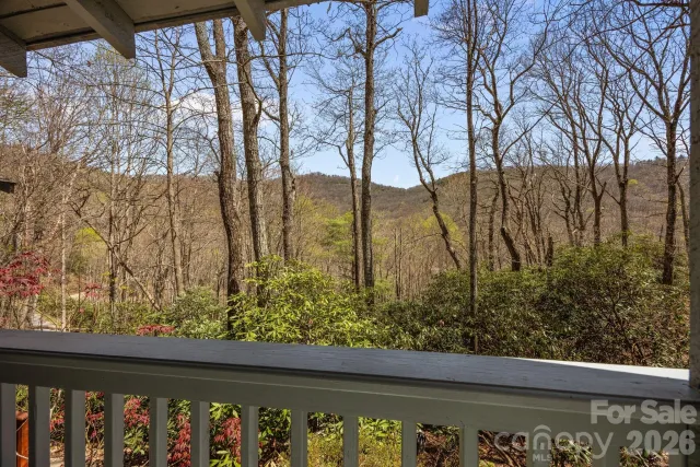 63 Chestnut Forest Road, Fairview, NC, 28730