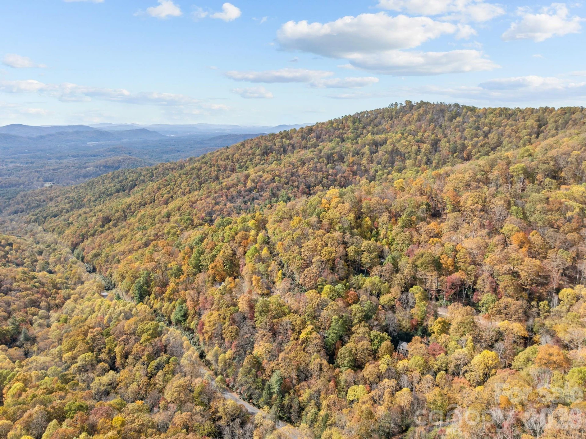63 Chestnut Forest Road - Photo 42