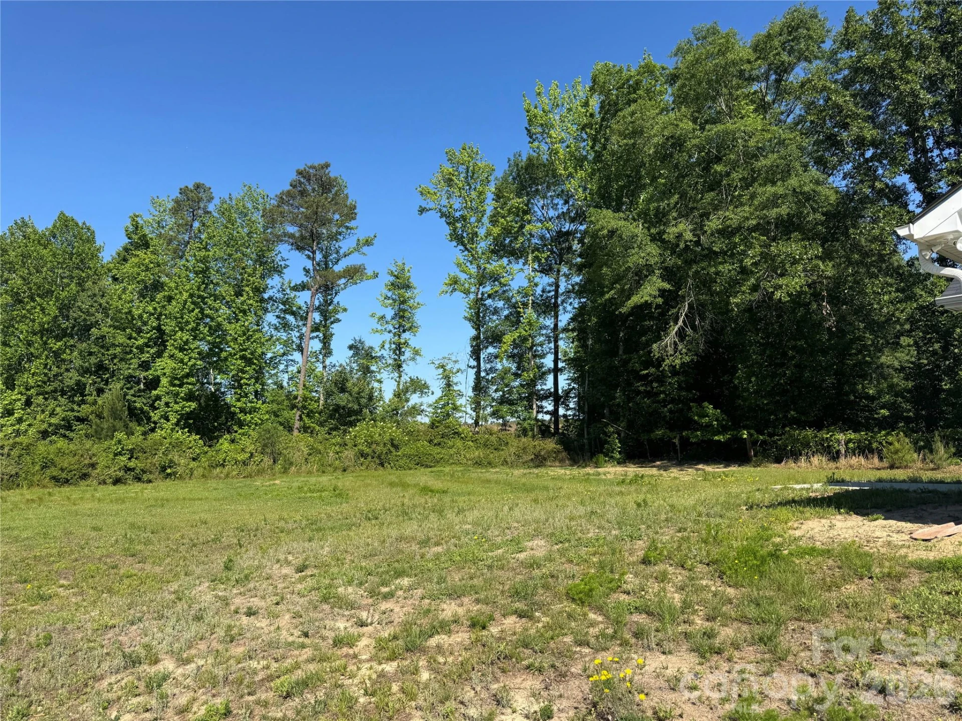 1524 Evans Mill Road - Photo 24
