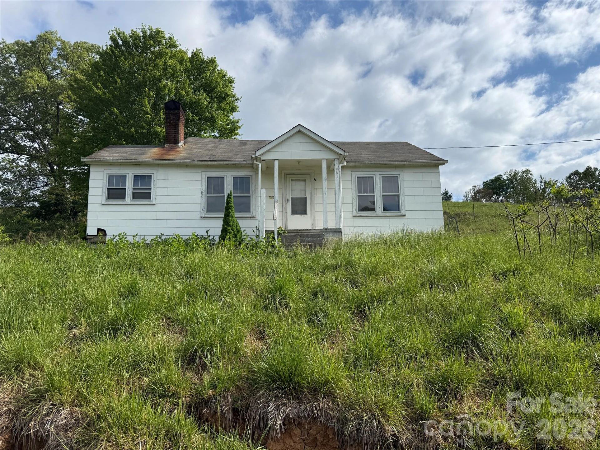 176 Laurel Branch Cemetery Road - Photo 3