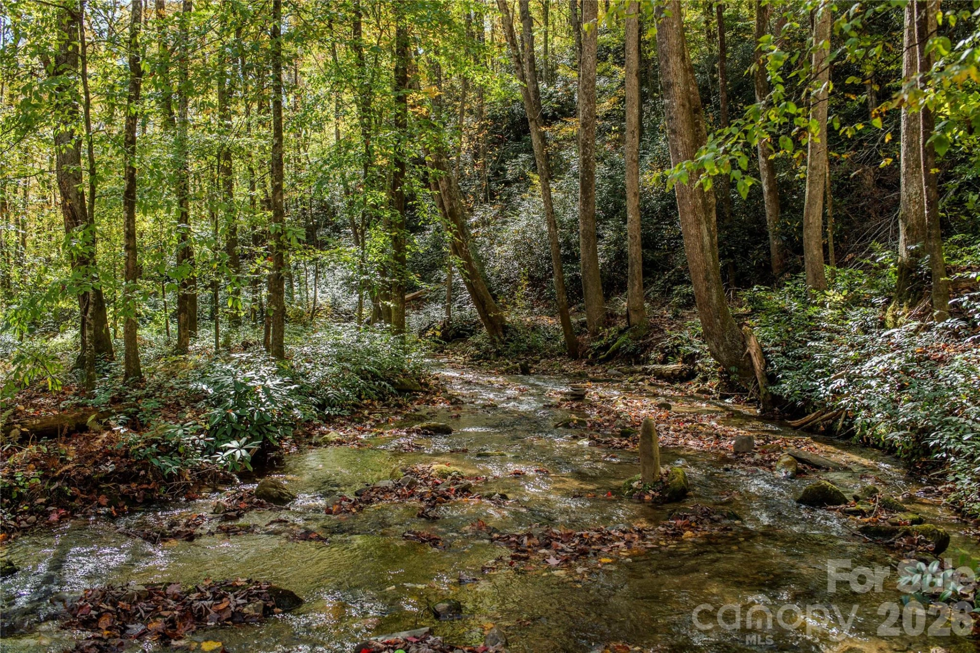 195 Still Waters Lane - Photo 23