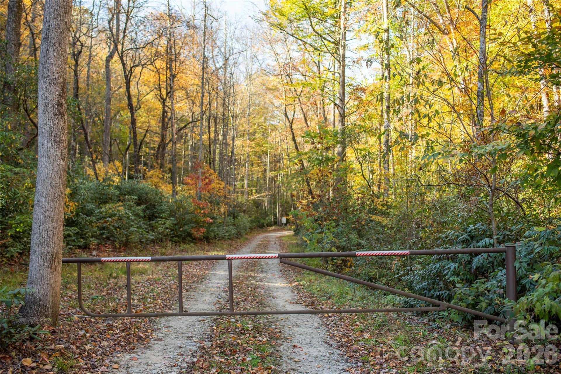 195 Still Waters Lane - Photo 46