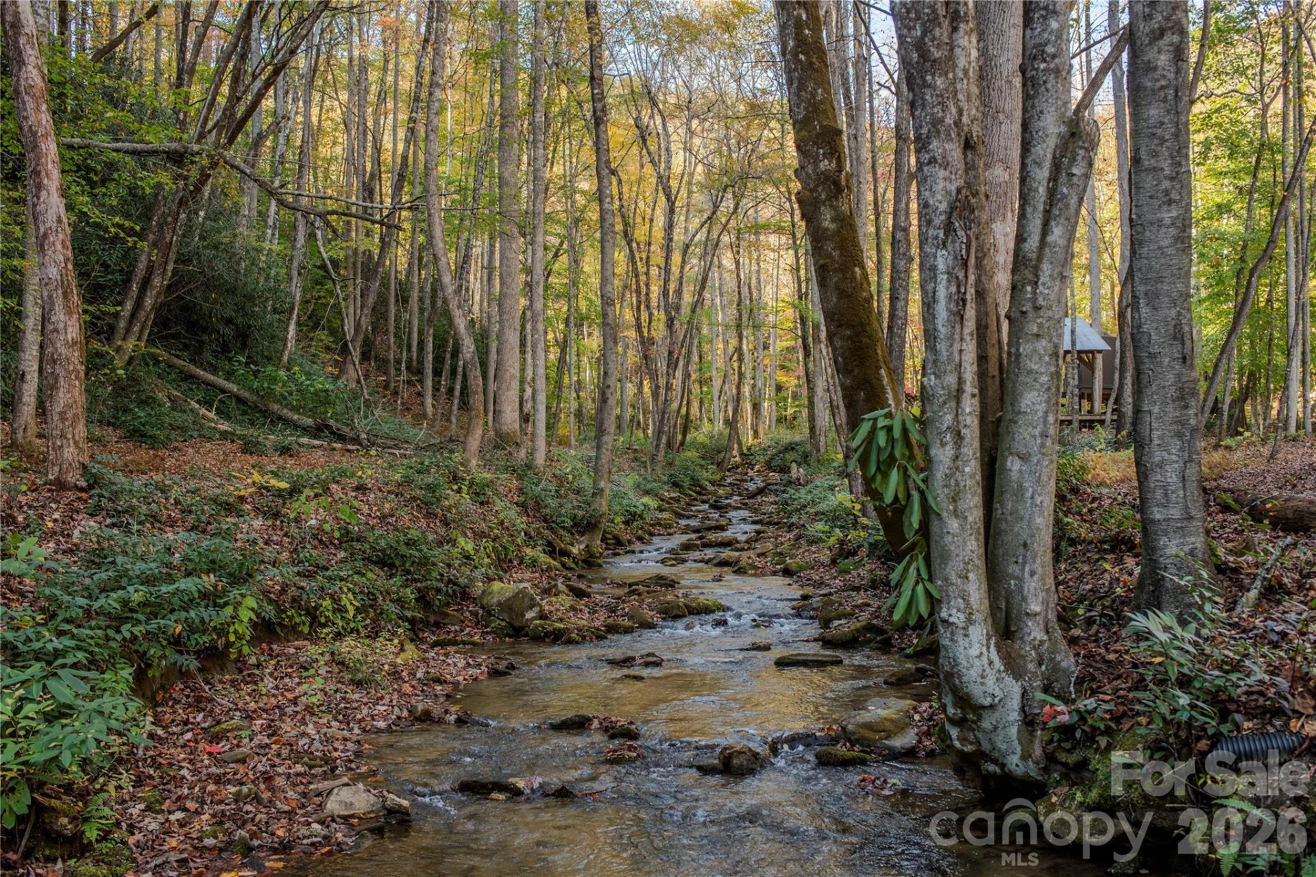 195 Still Waters Lane - Photo 8