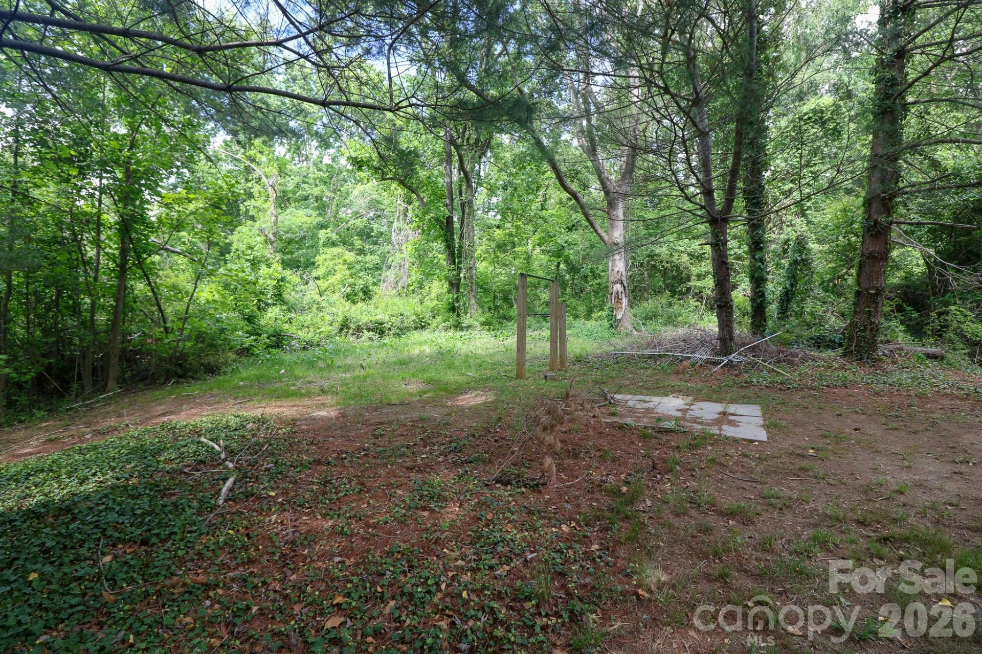 131 Upper Grassy Branch Road - Photo 2