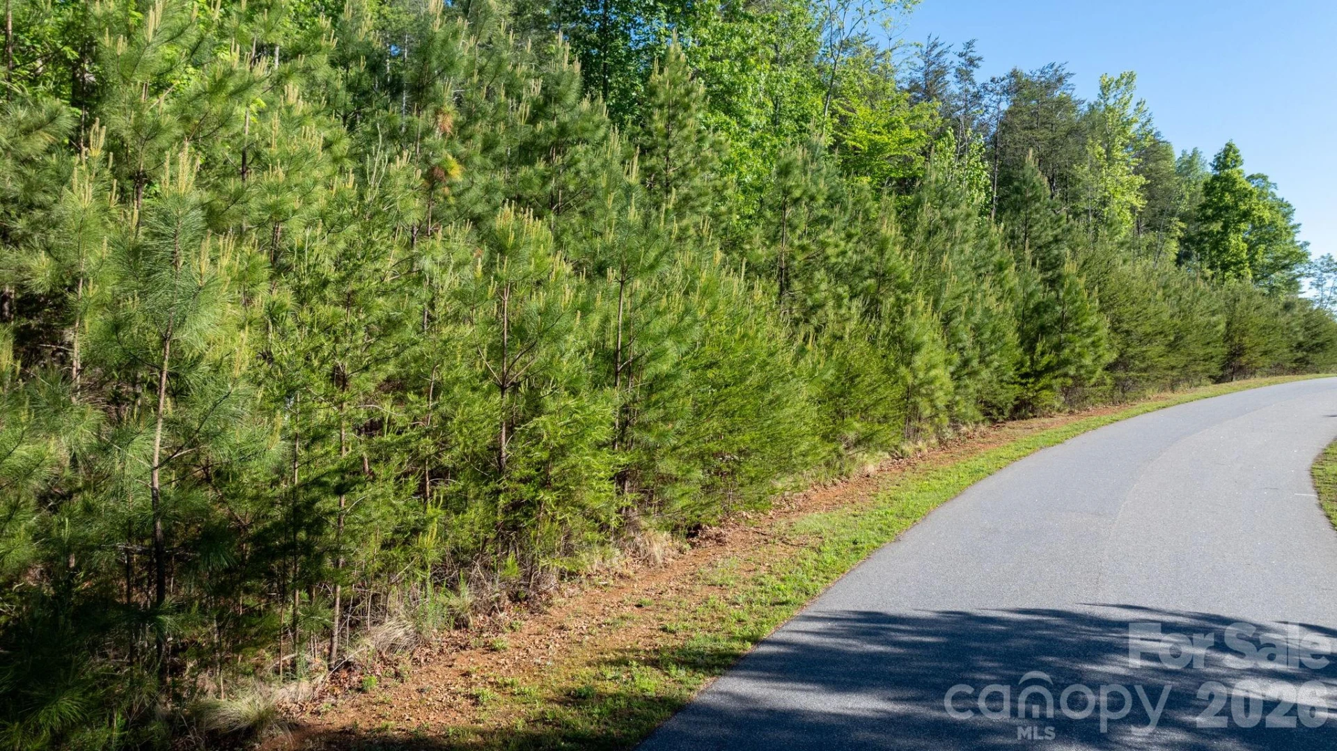 3030 Channel View Cove - Photo 6