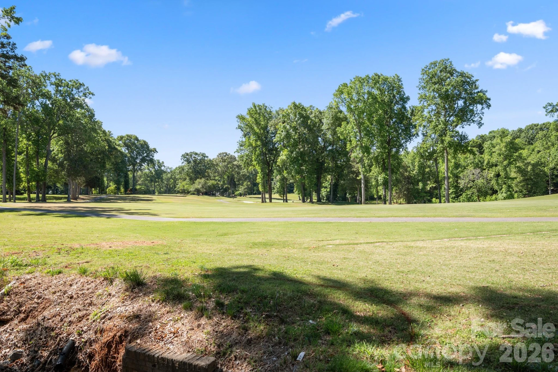 3713 Saint Regis Drive - Photo 39